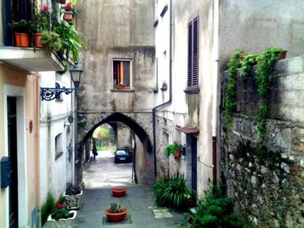 Photo 26