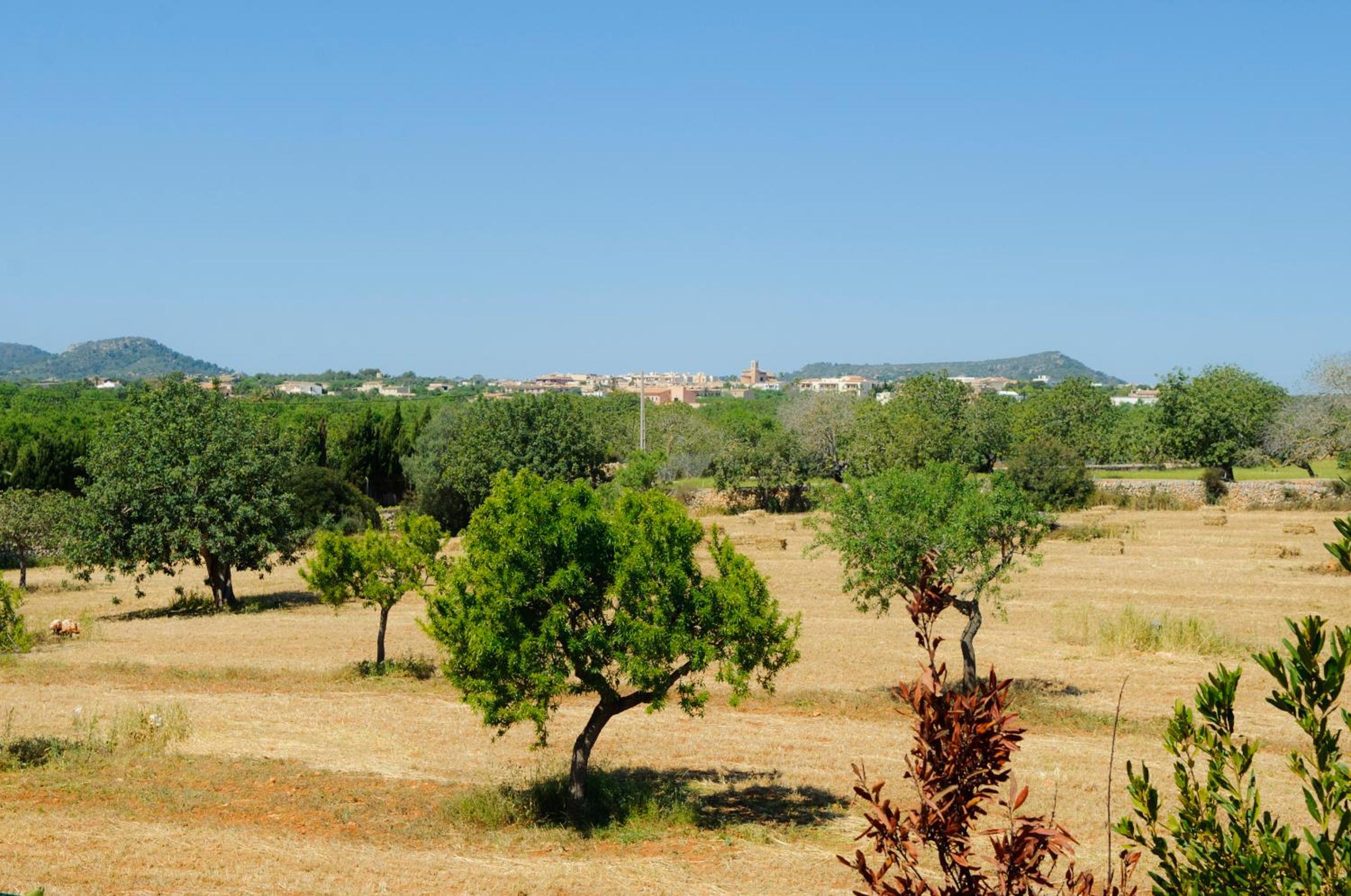 Finca Cullera view 5