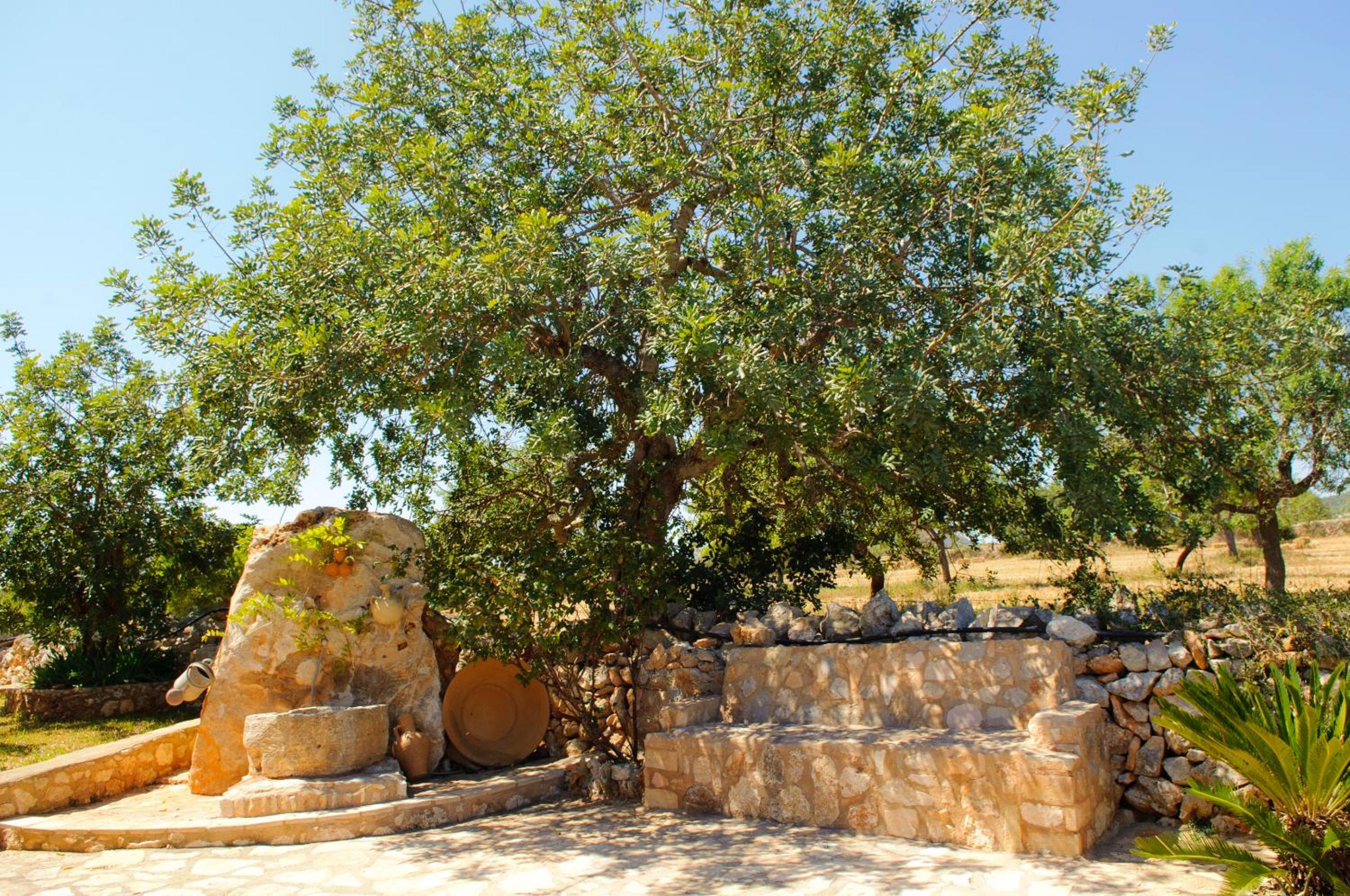 Photo 38