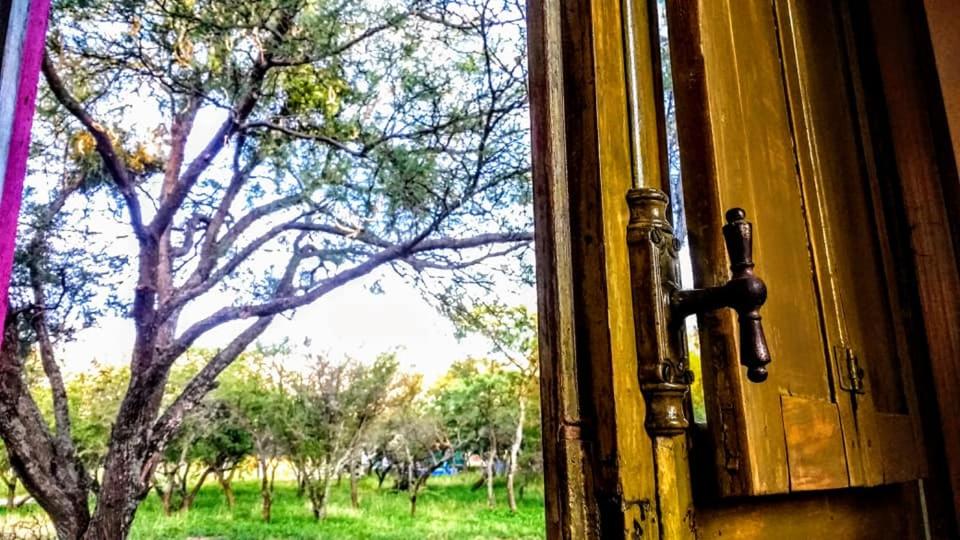 apartamento VINTAGE IVA