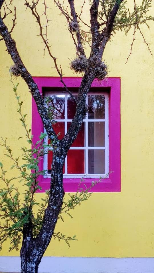 apartamento VINTAGE IVA