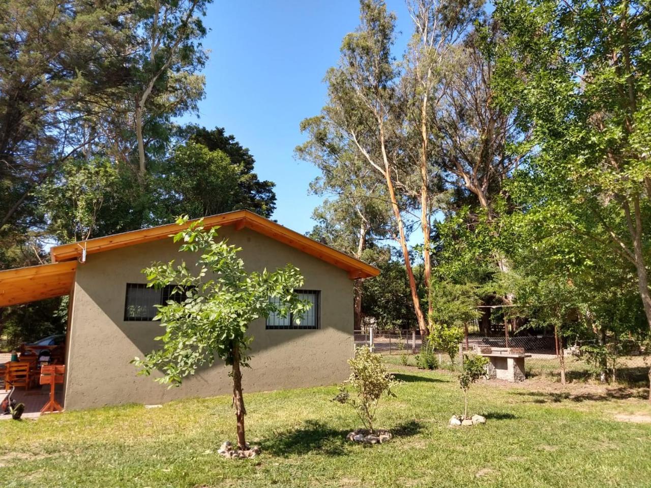 Complejo El Bosque