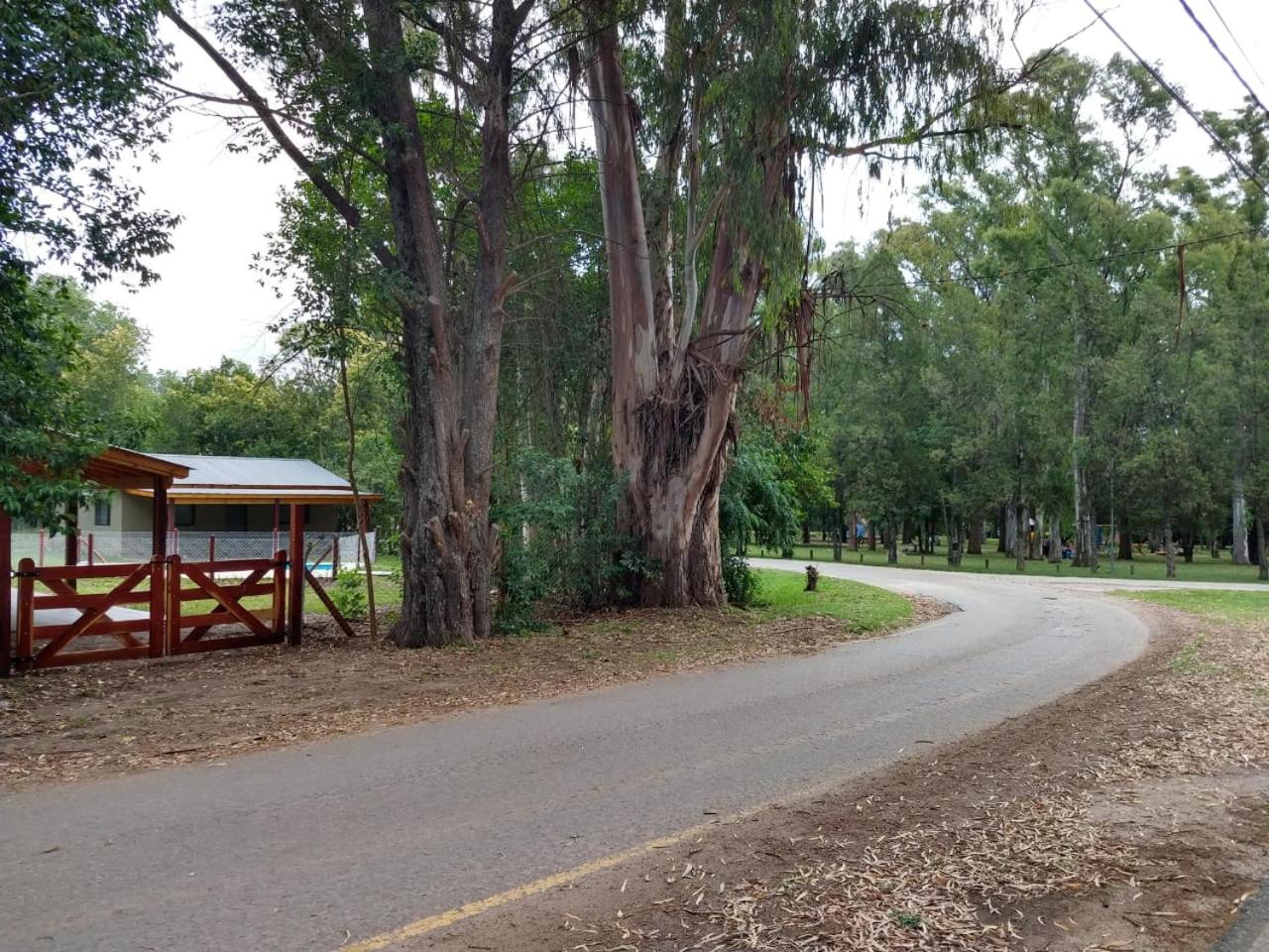 Complejo El Bosque