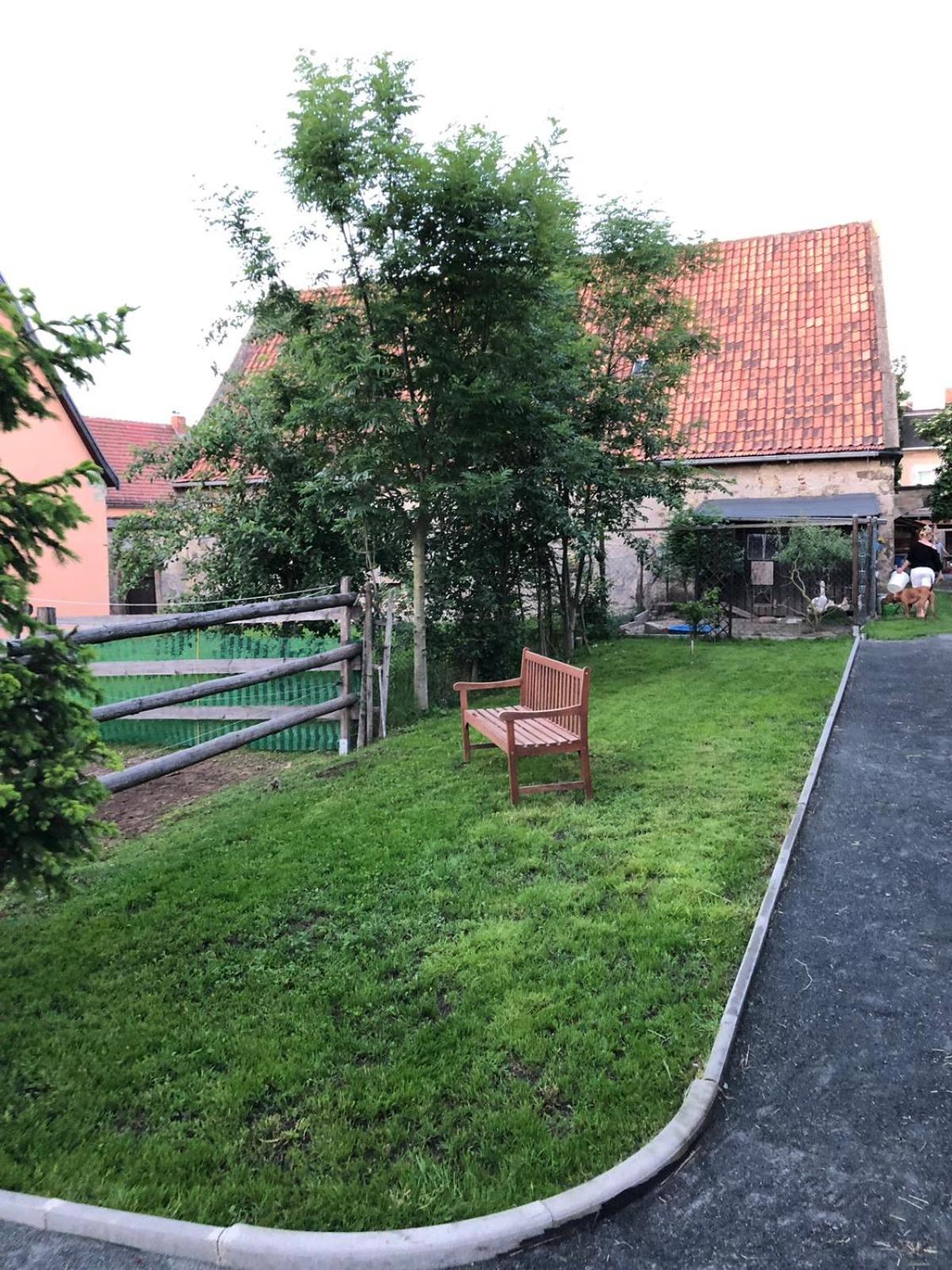 Photo 16