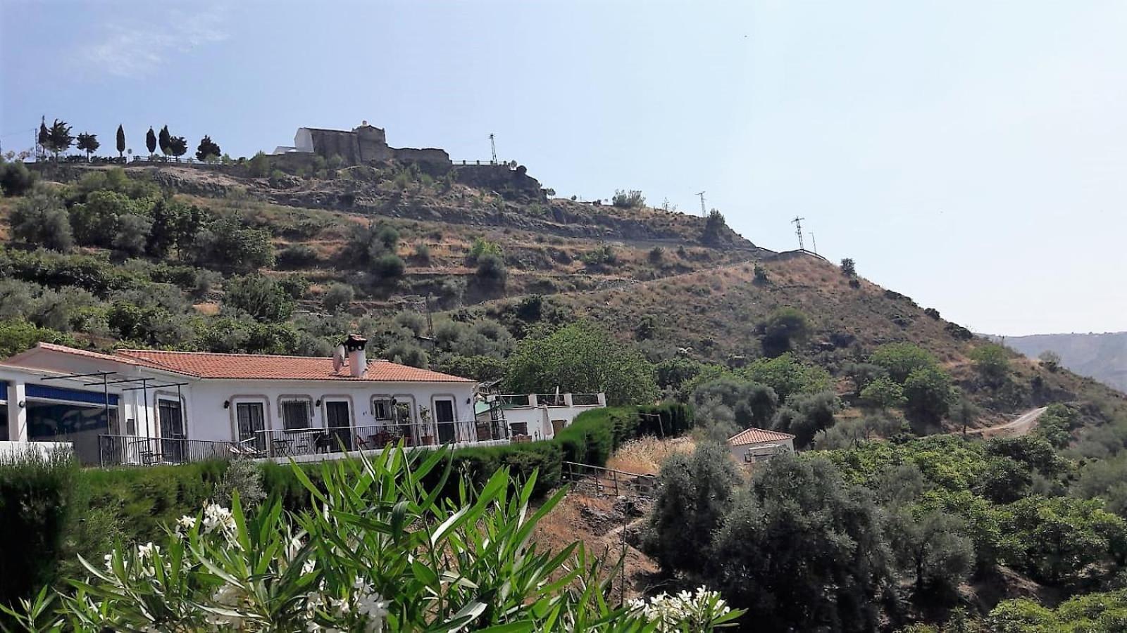 Finca Floretta view 3