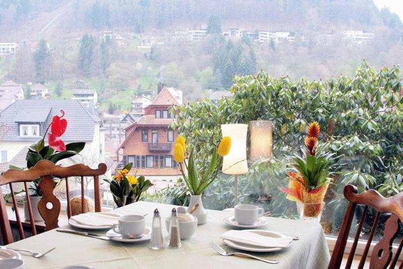 Aparthotel Schwarzwald Panorama view 2