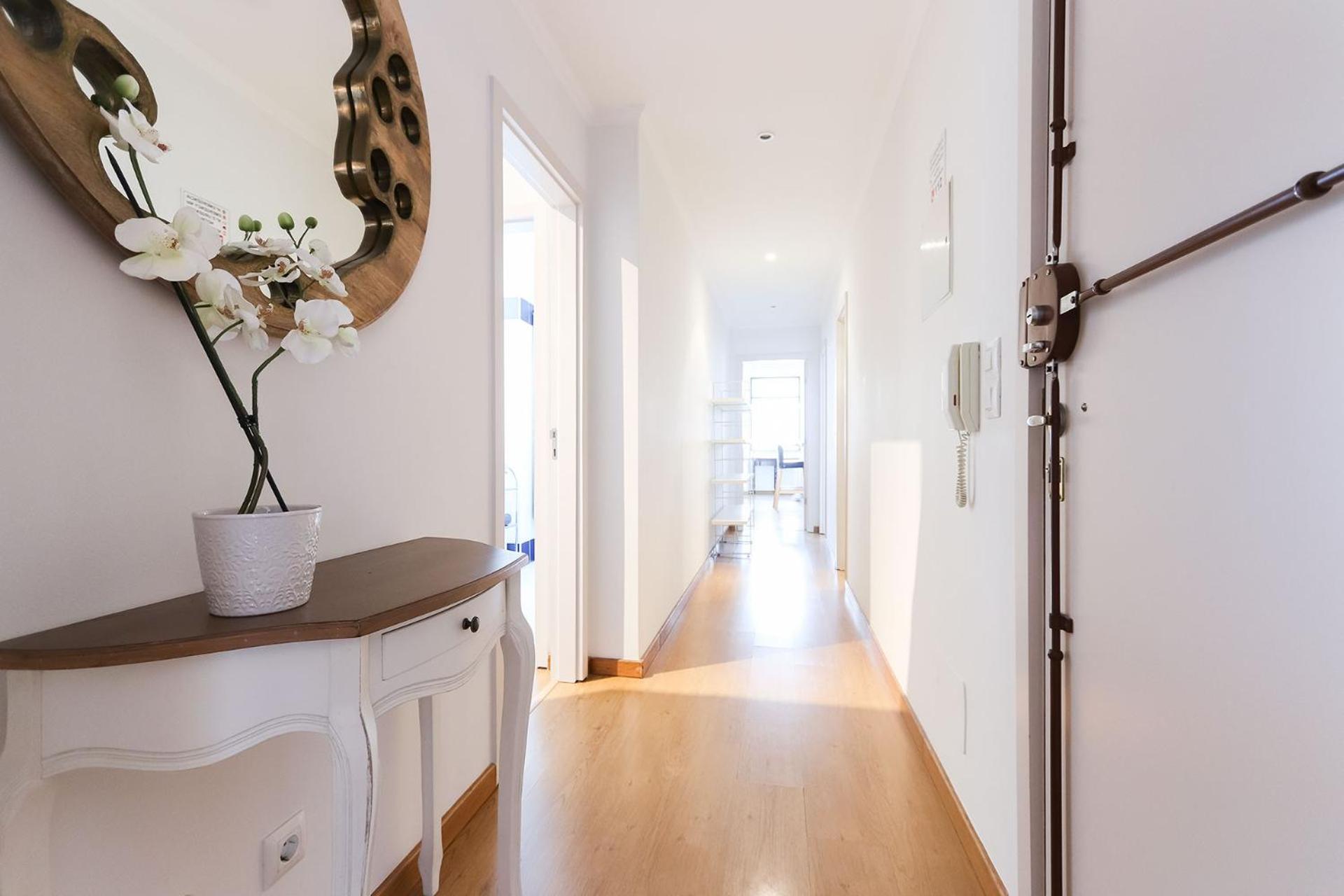 Rato Elegant by Homing