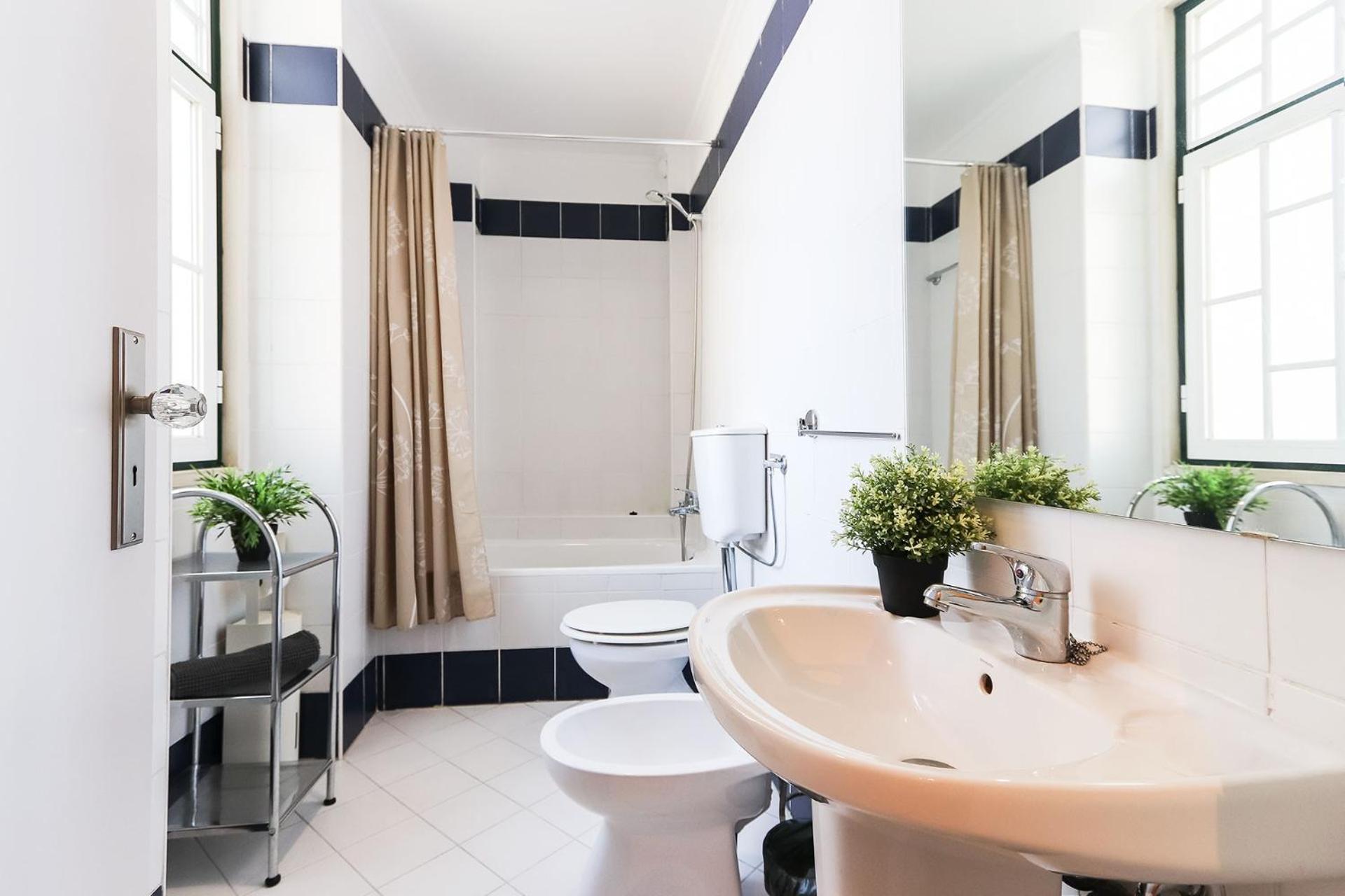 Rato Elegant by Homing