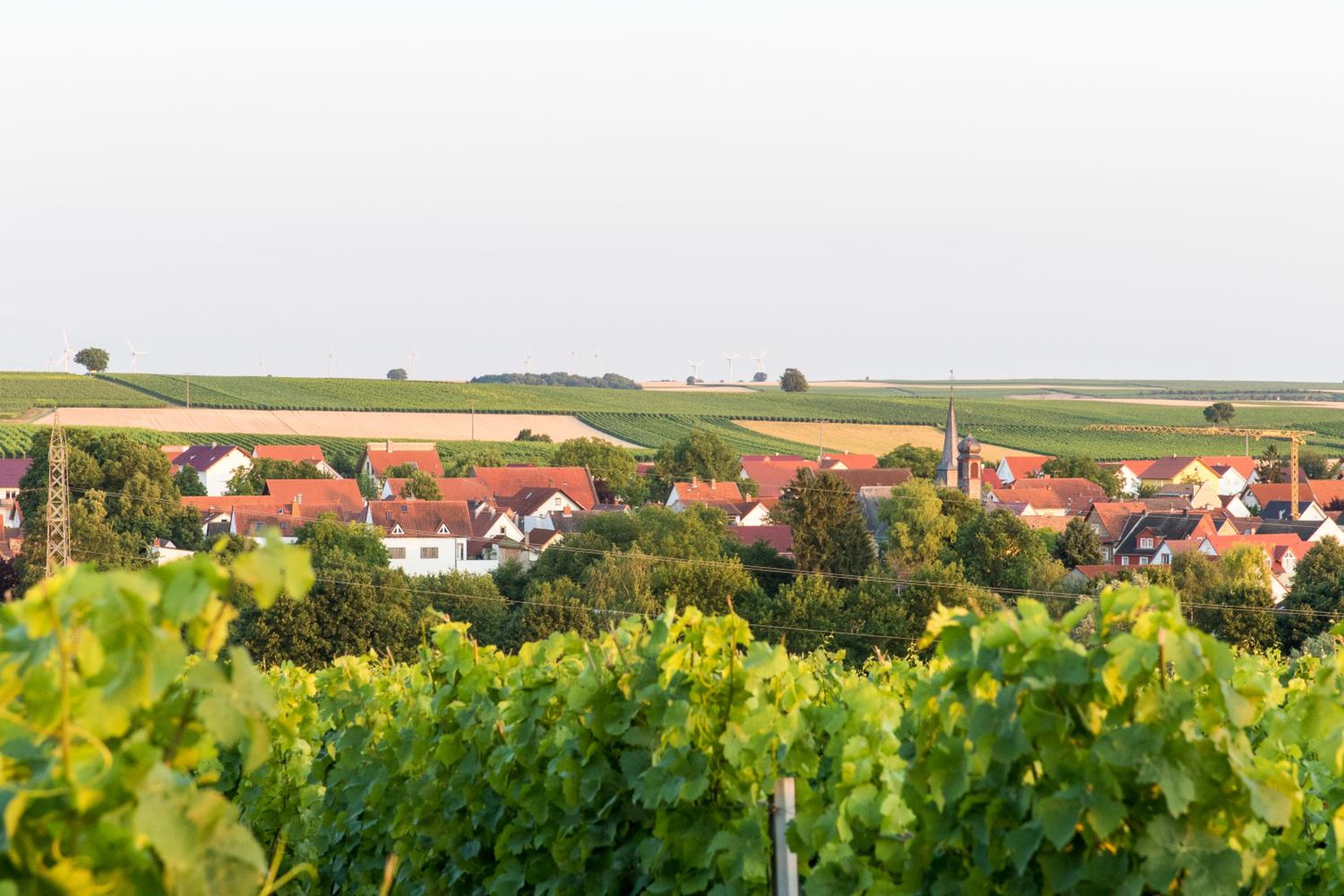Weingut und Gästehaus Henrici
