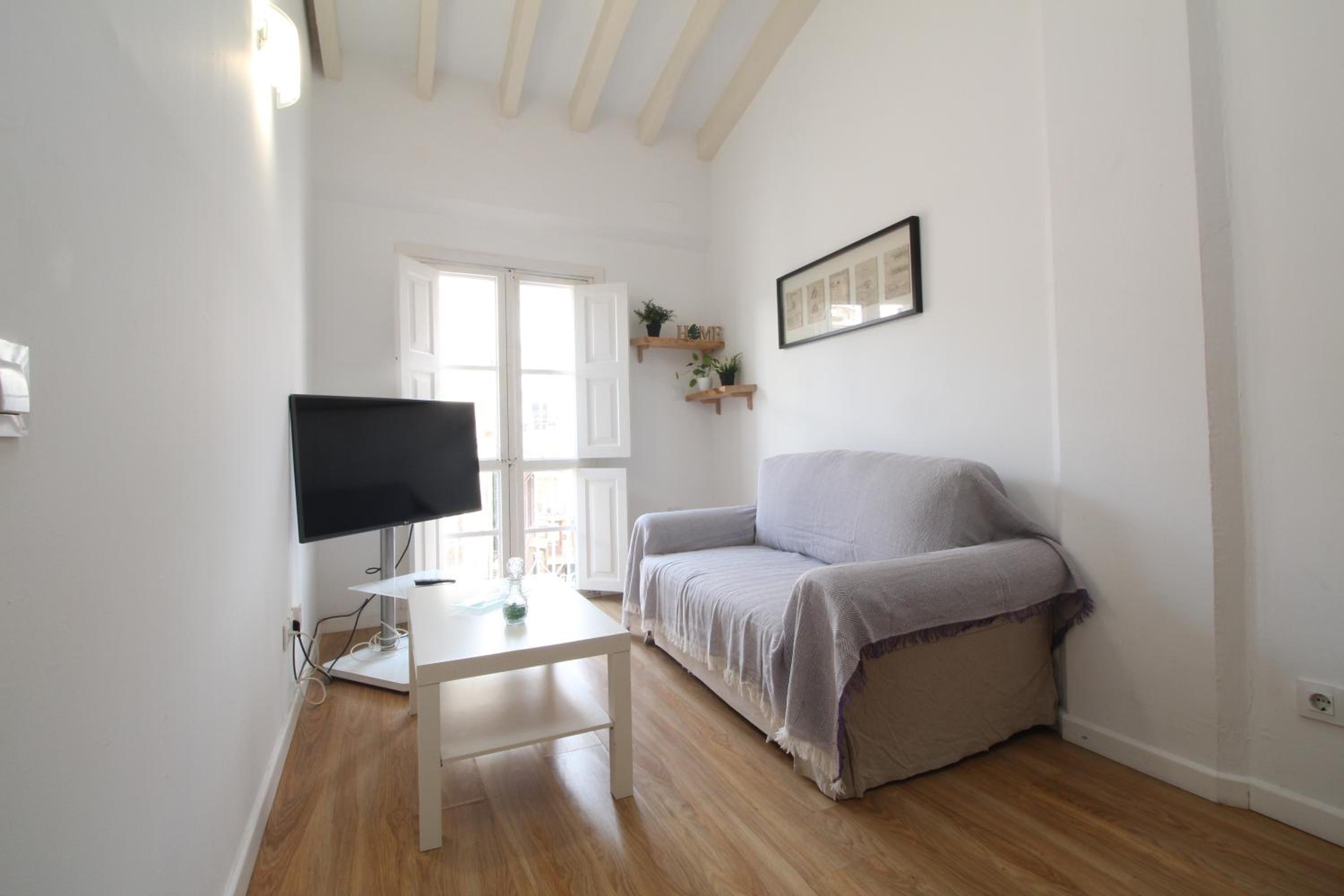 Comfortable Apartment with Character in the Old Town