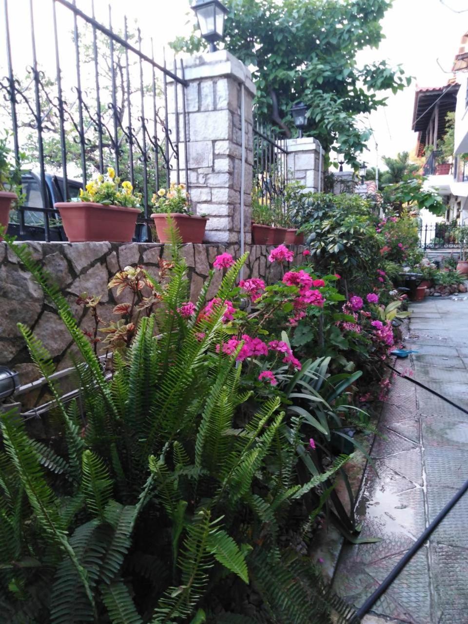 Photo 19