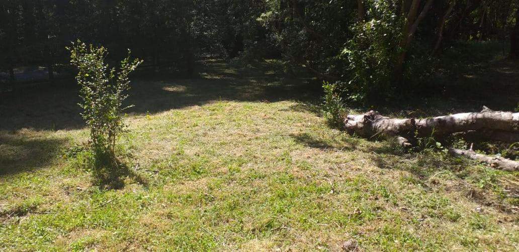 Cabañas Trancura con Internet Satelital view 4