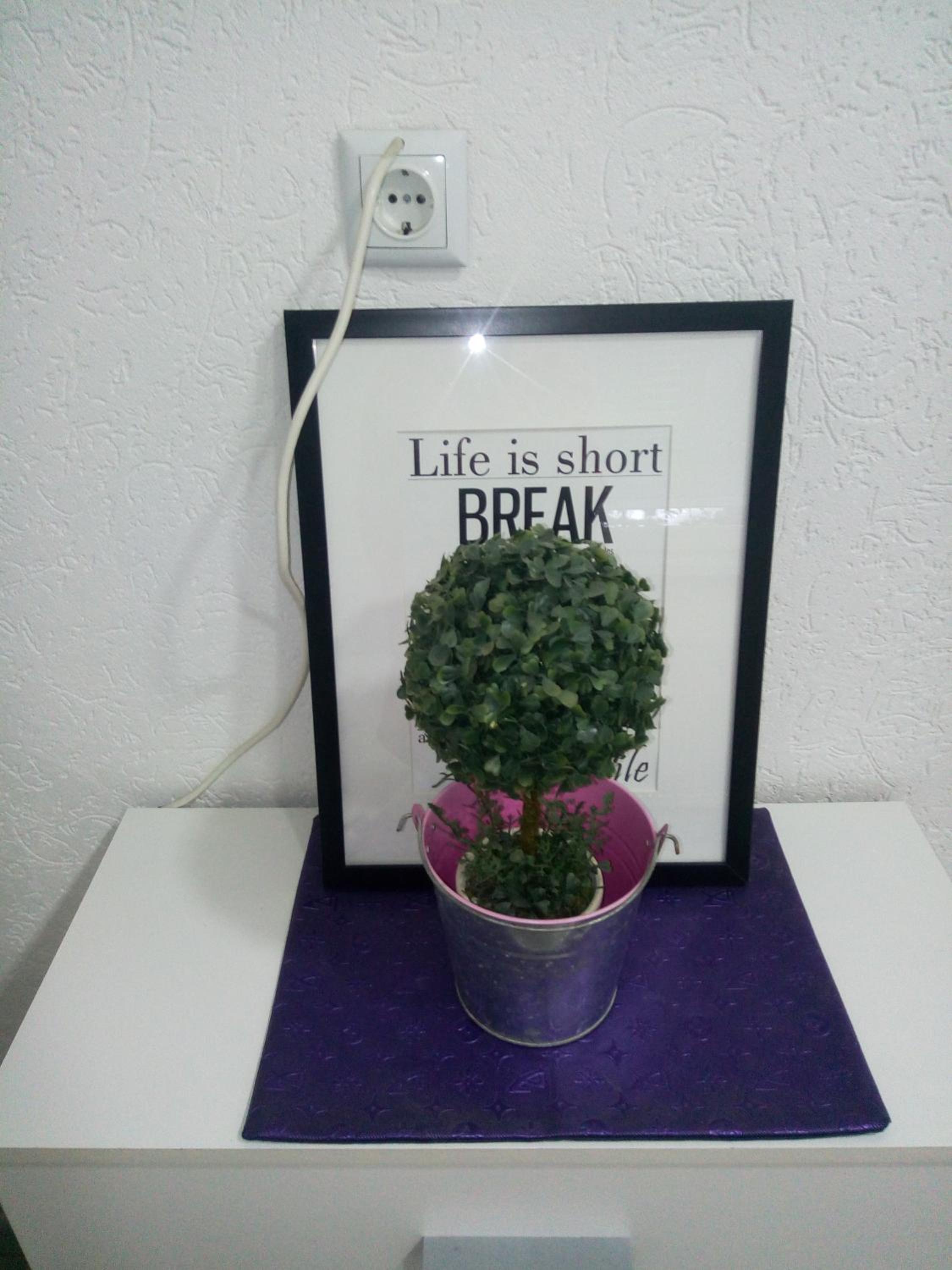 Apartman All seasons