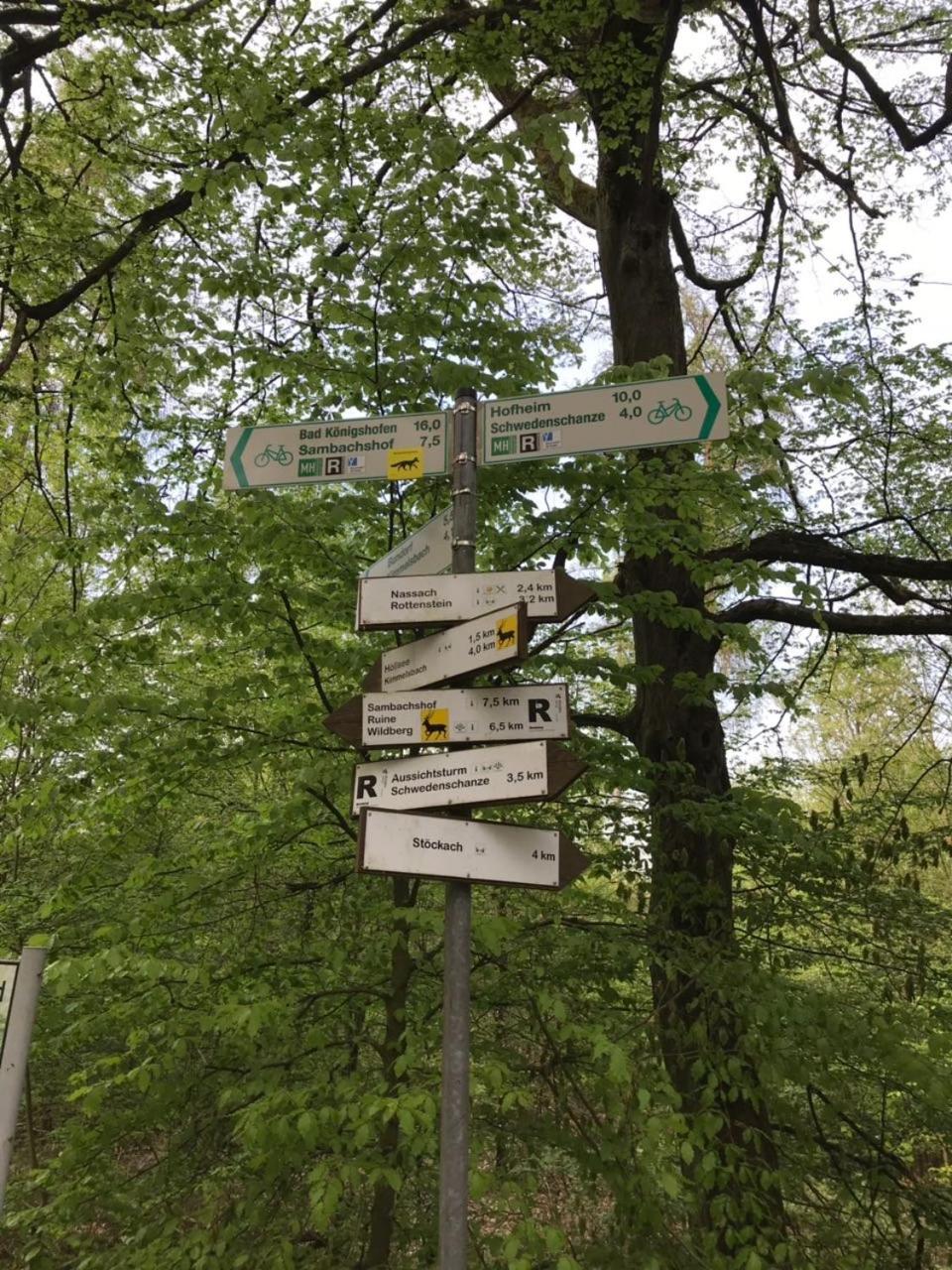 Photo 42