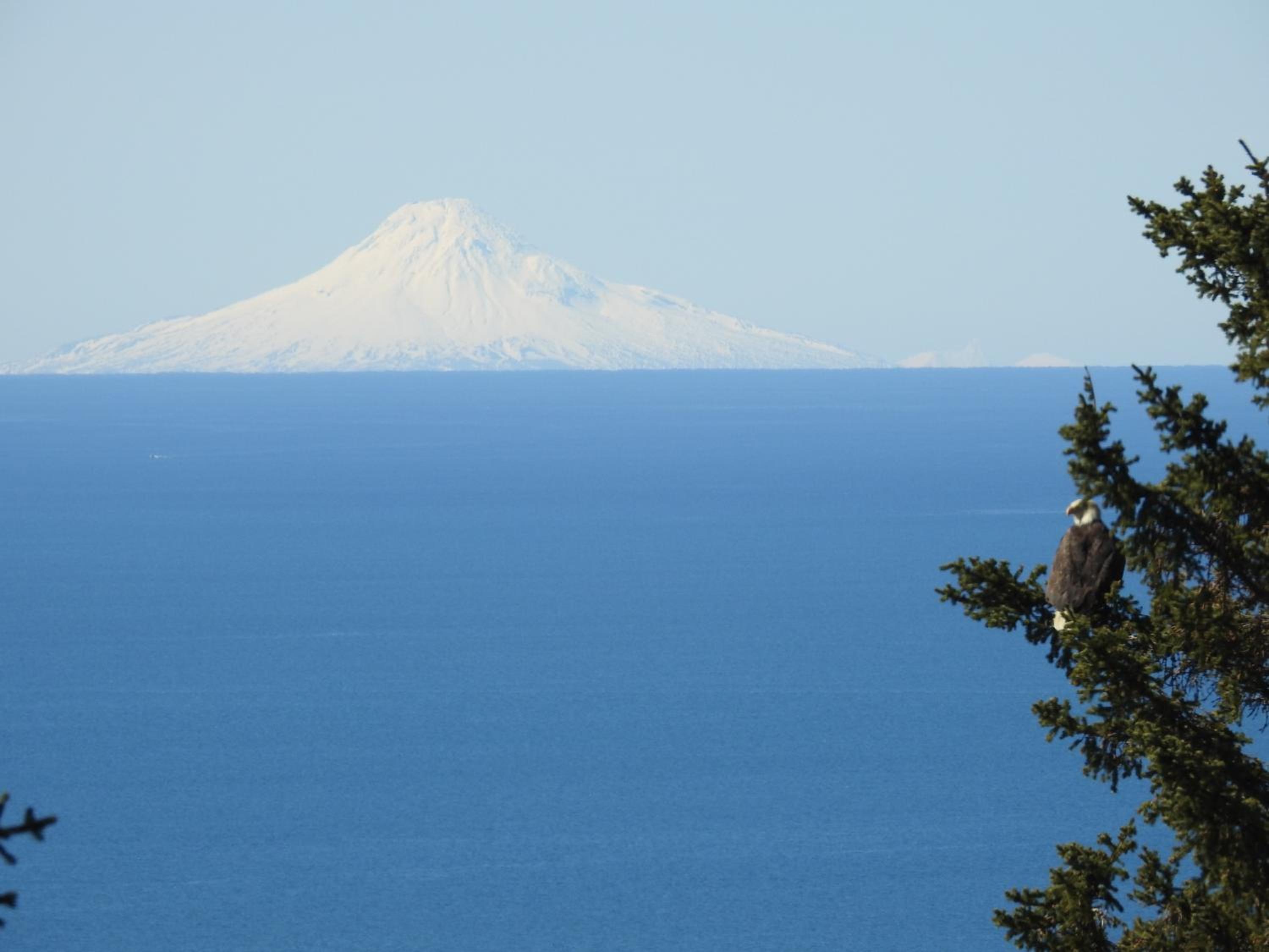 Alaska Adventure Cabins