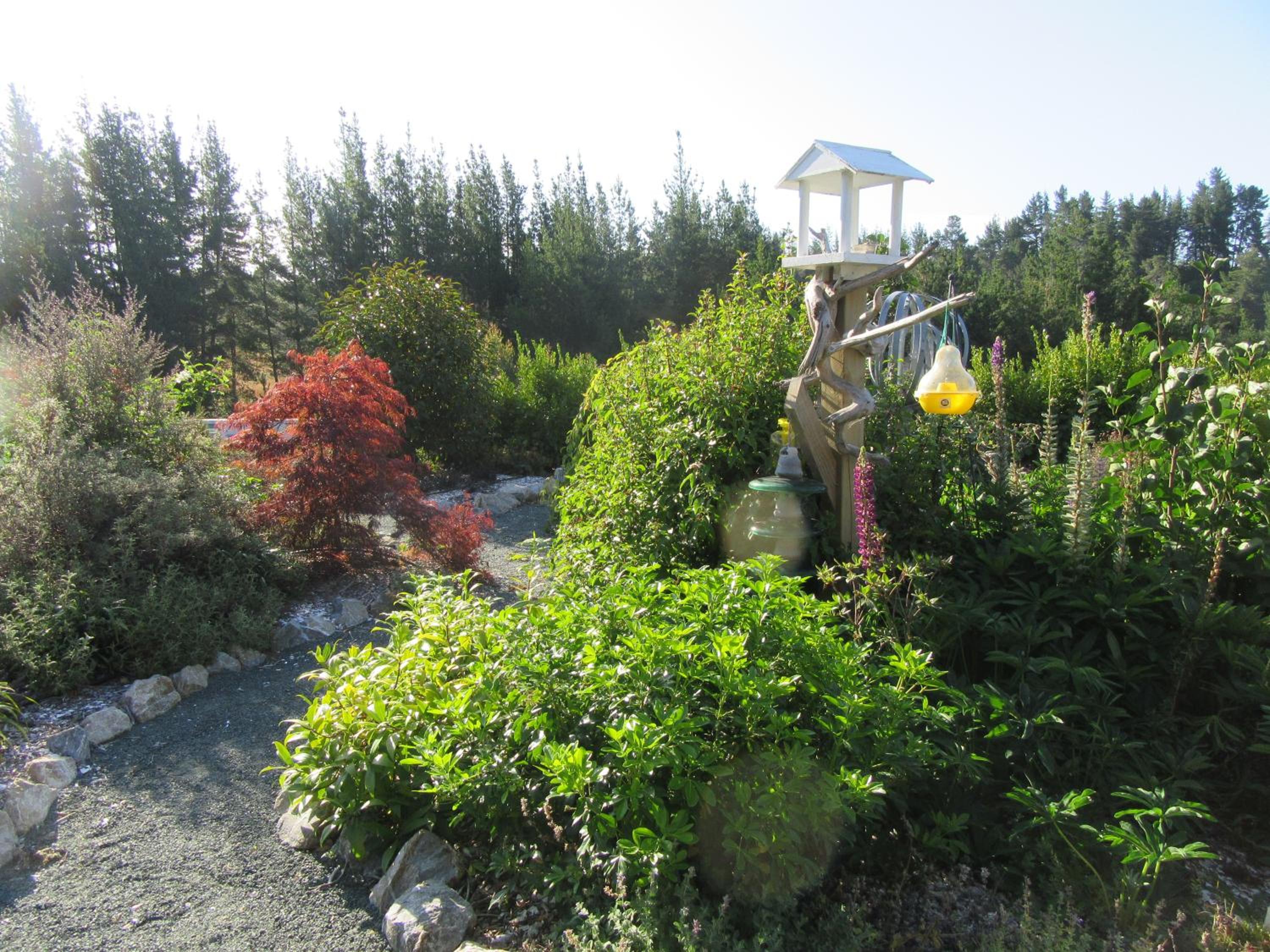Photo 35
