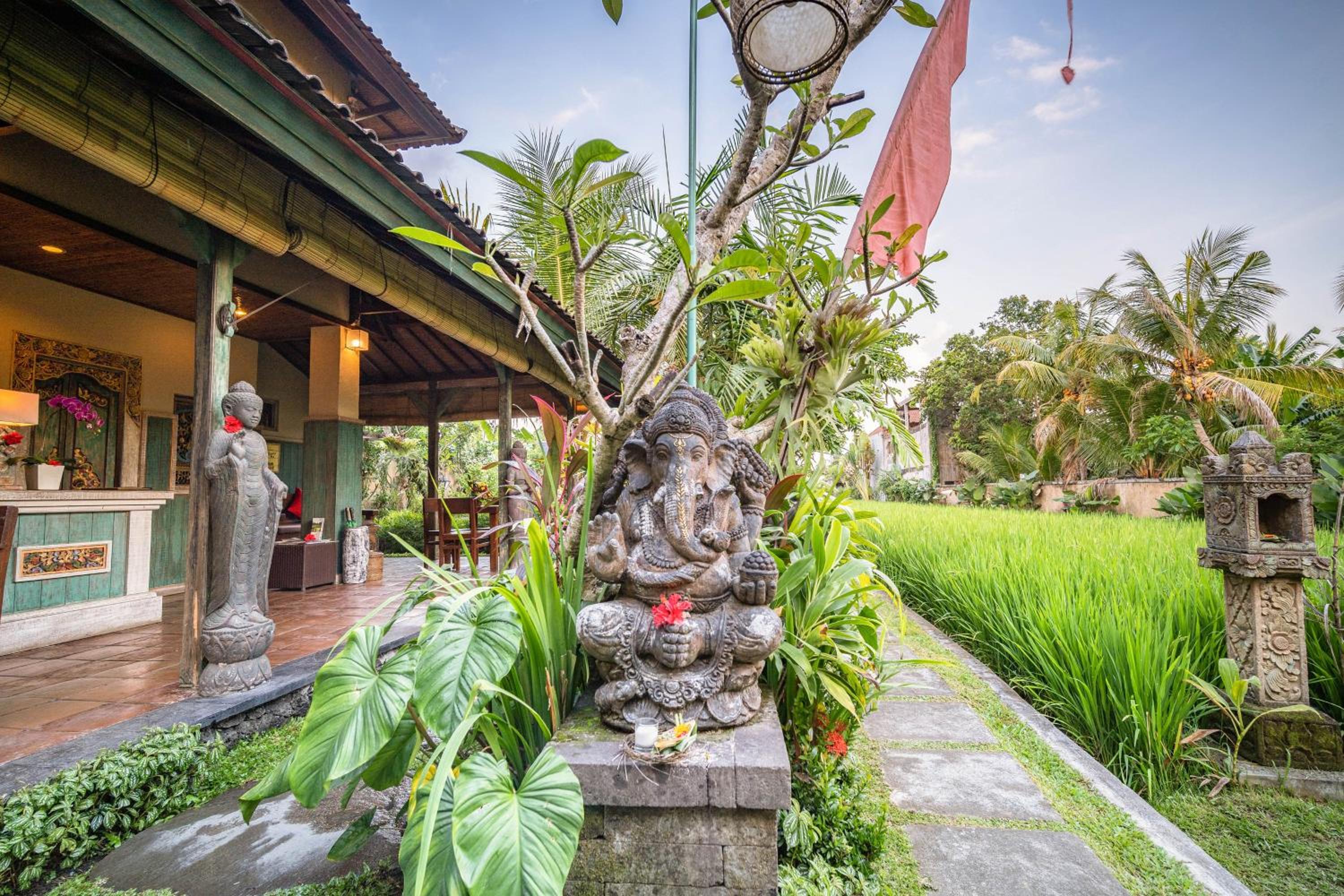 Villa Nini view 4