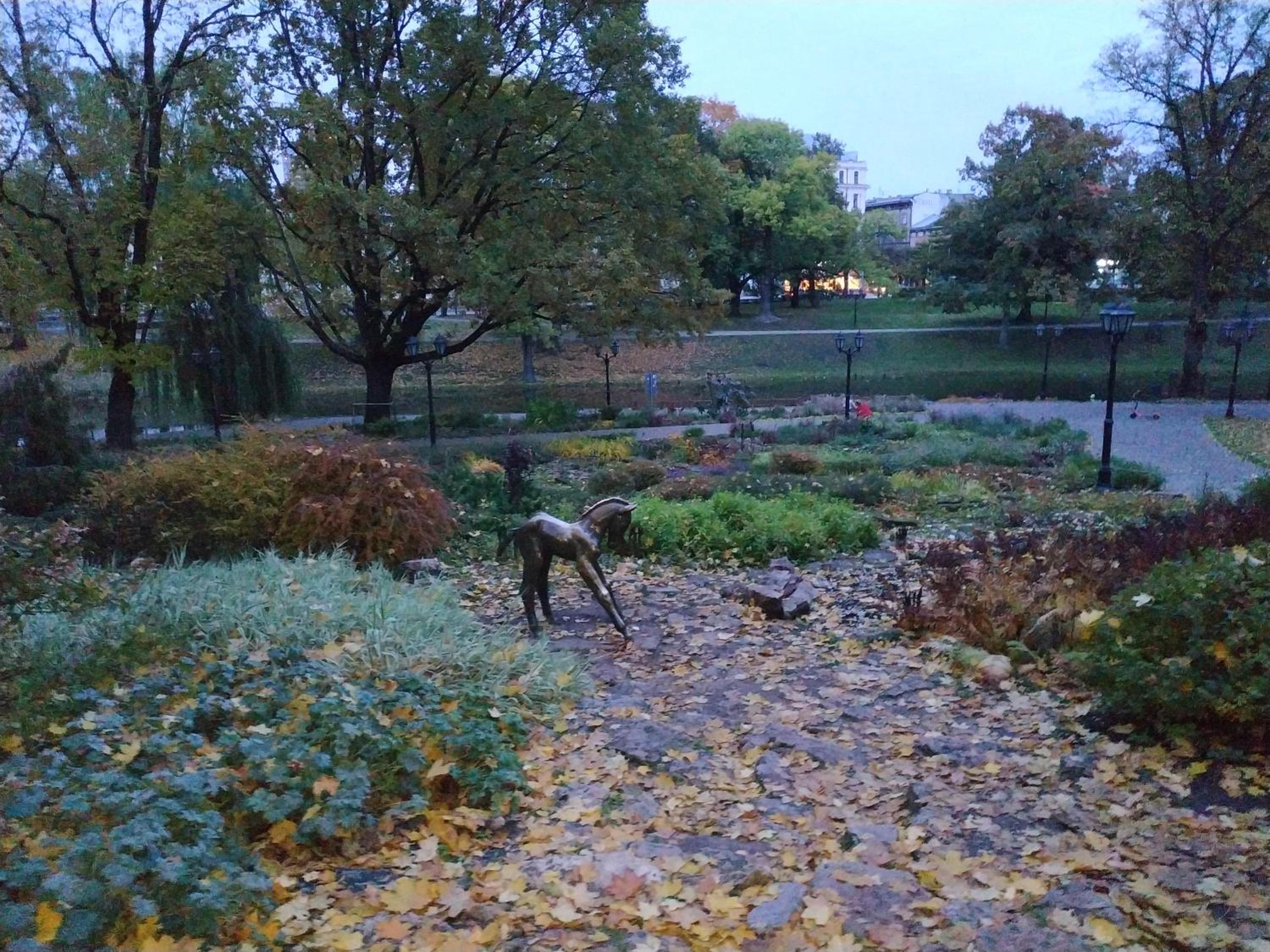 Photo 10