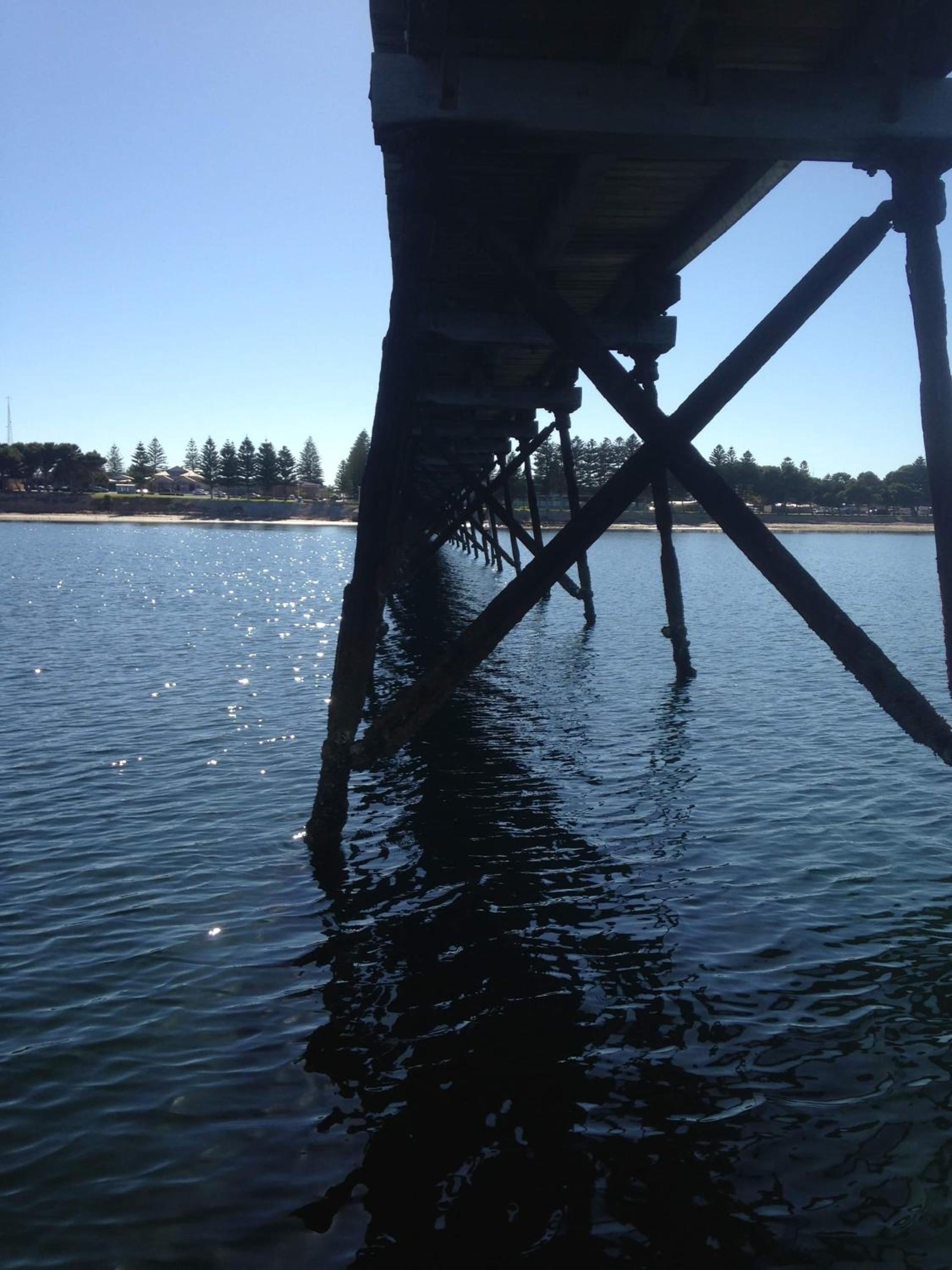 Photo 7