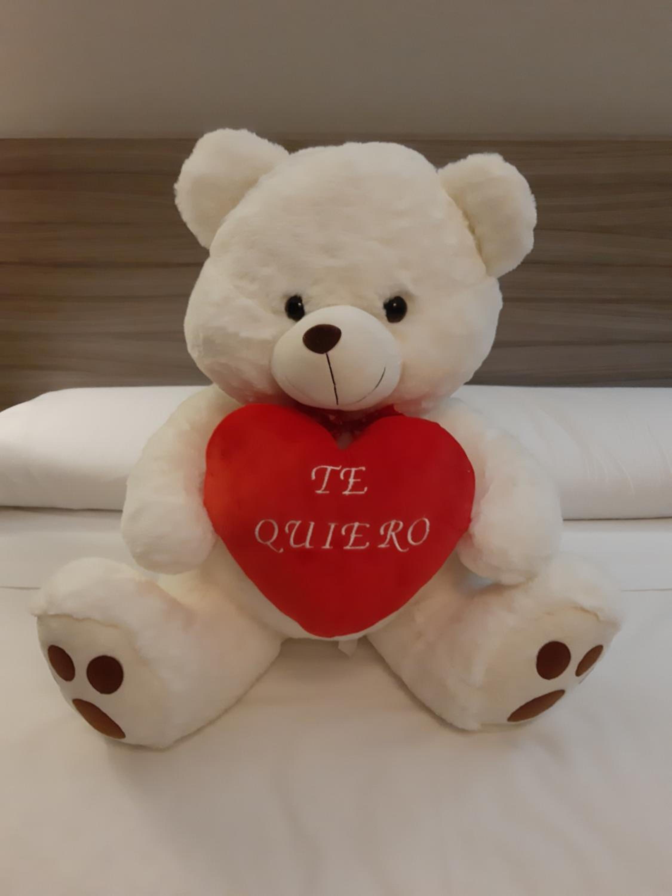 Apartamentos Santa Clara