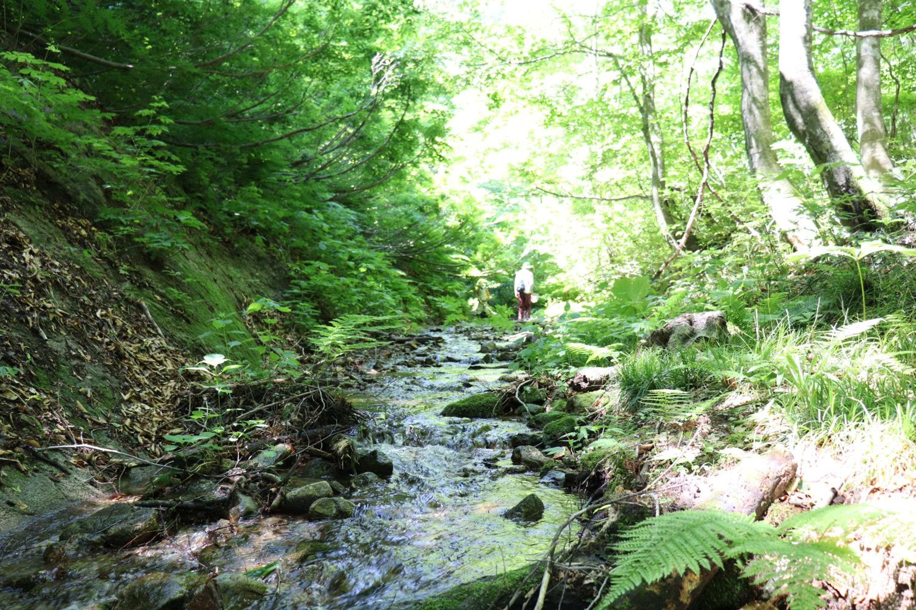 Photo 47