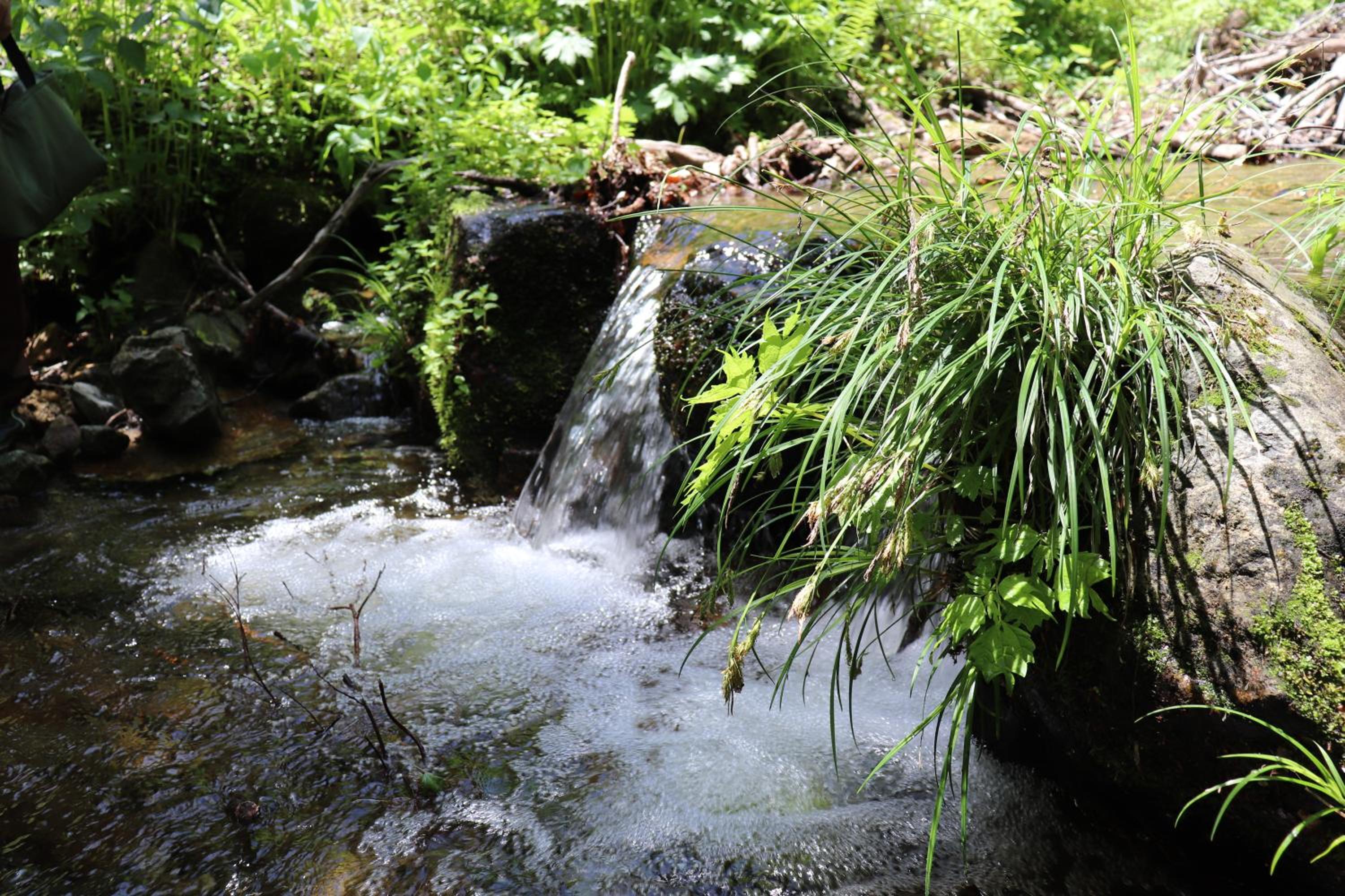 Photo 49