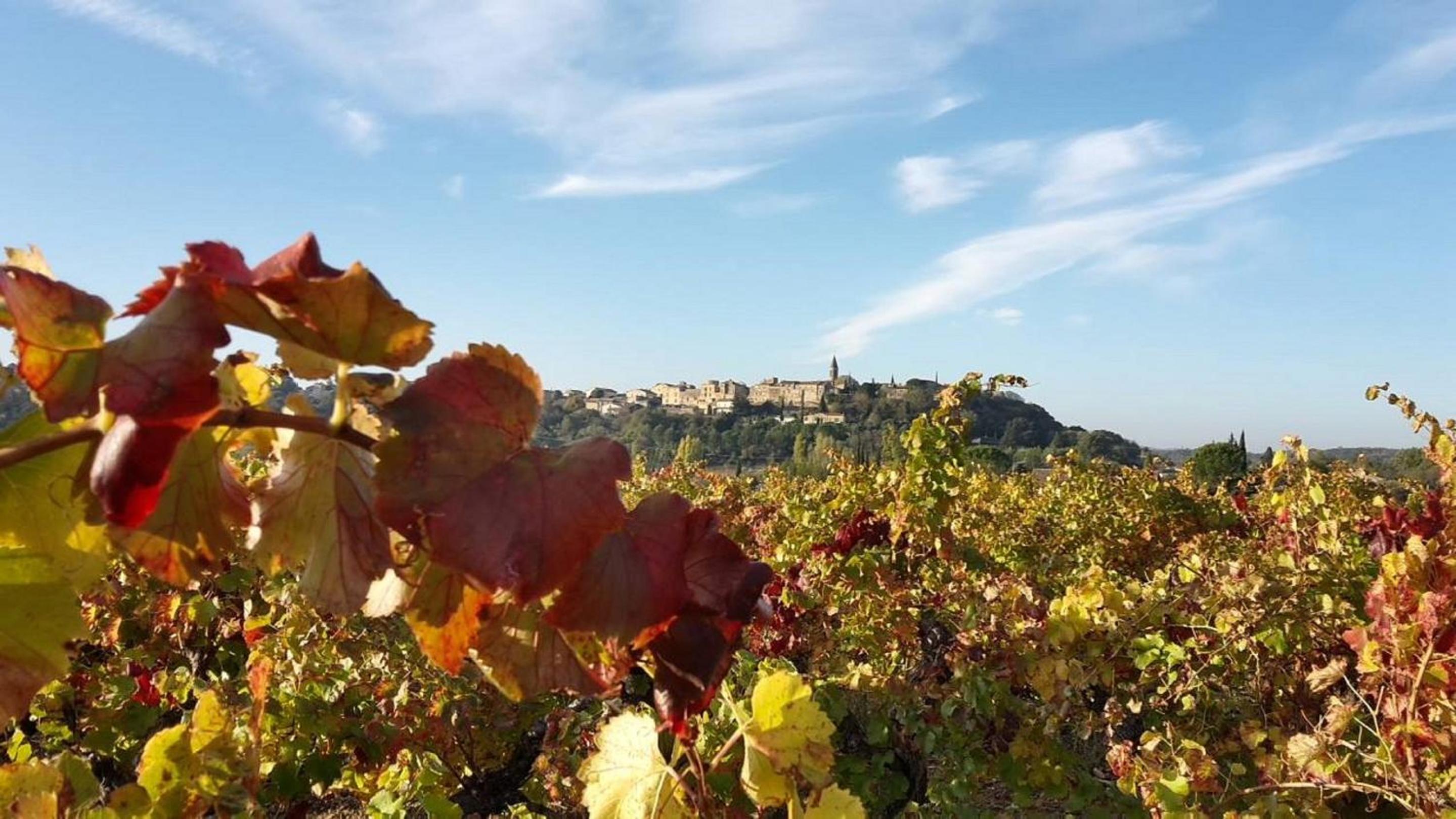 La Bastide des Pins