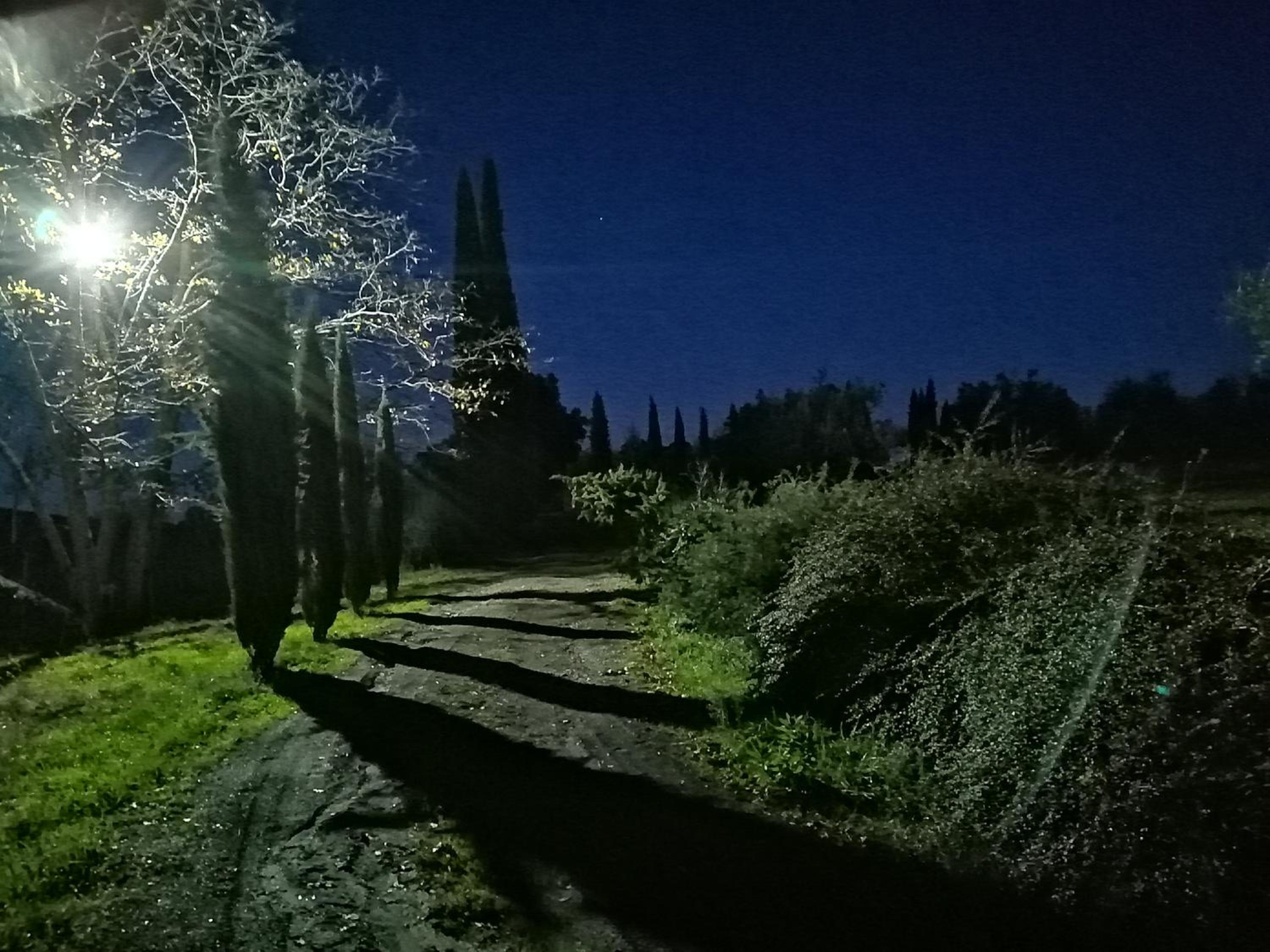 Podere Campovecchio view 5