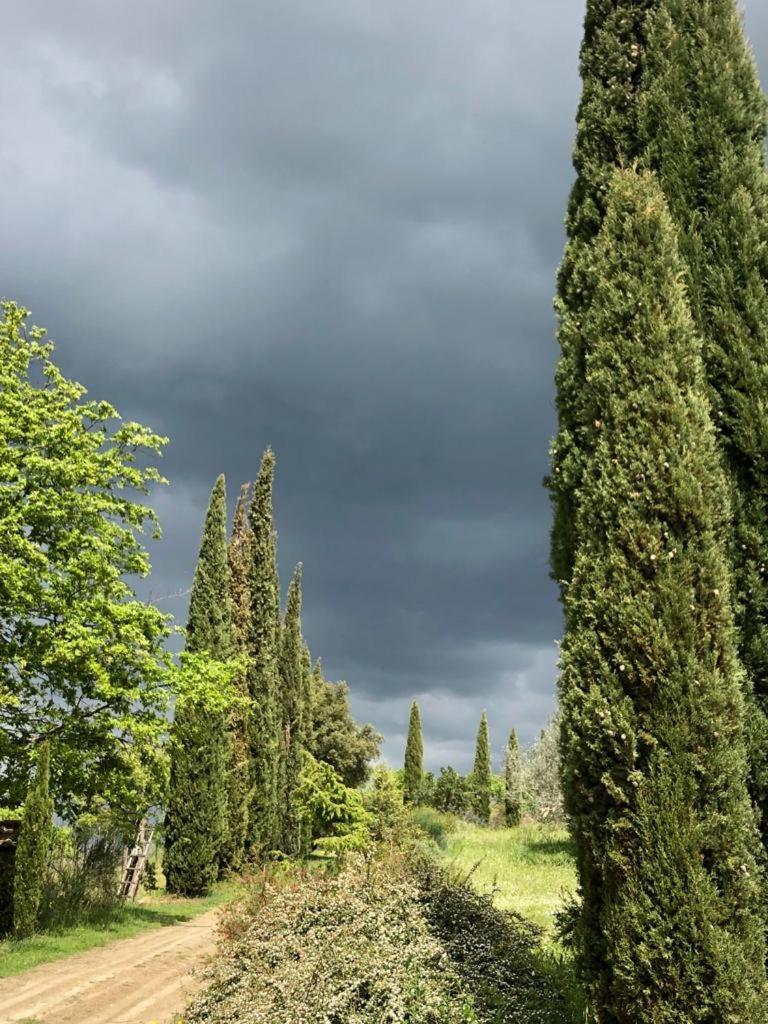 Podere Campovecchio view 4
