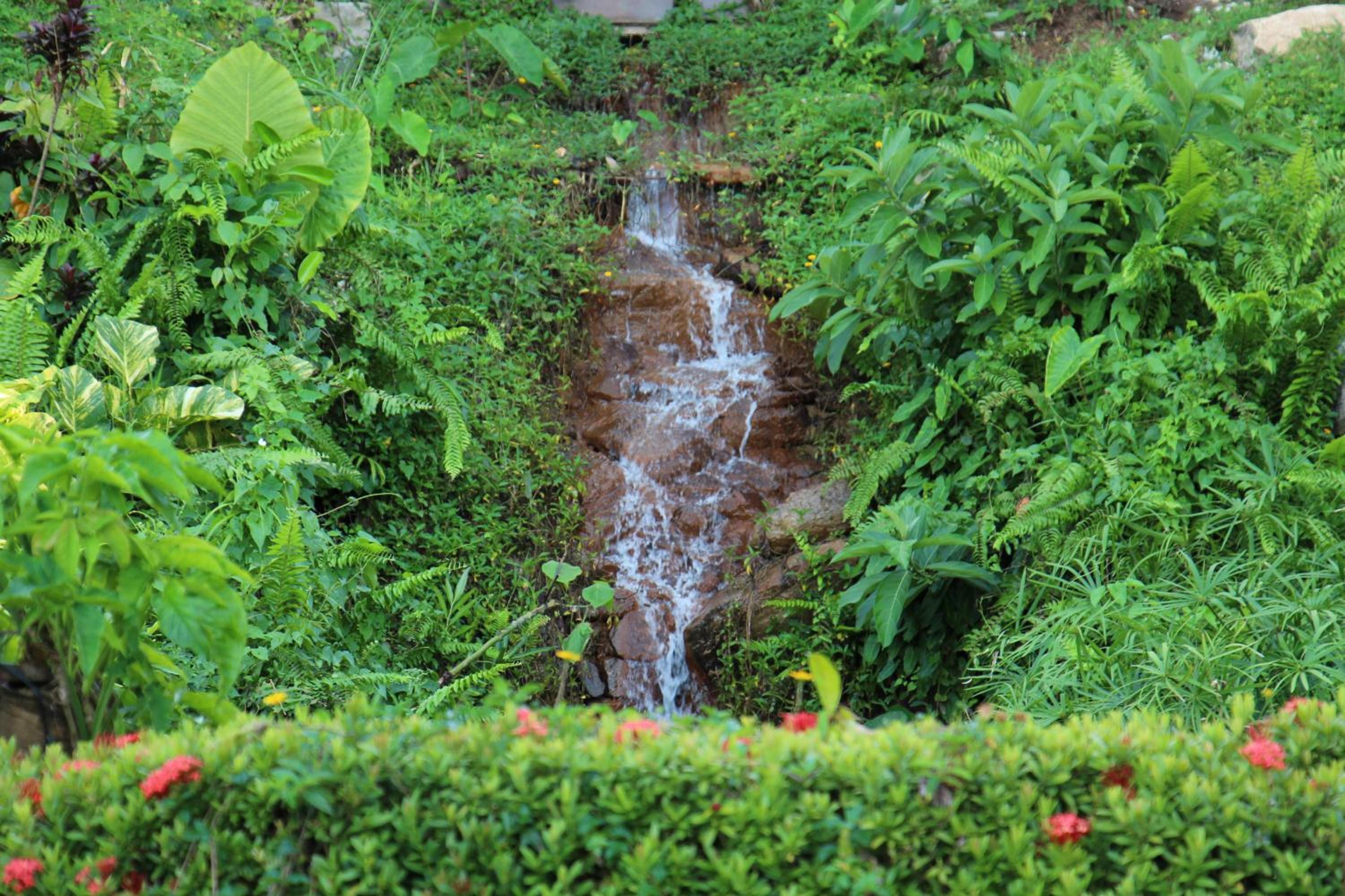 Ayara Kamala Resort & Spa, photo 112