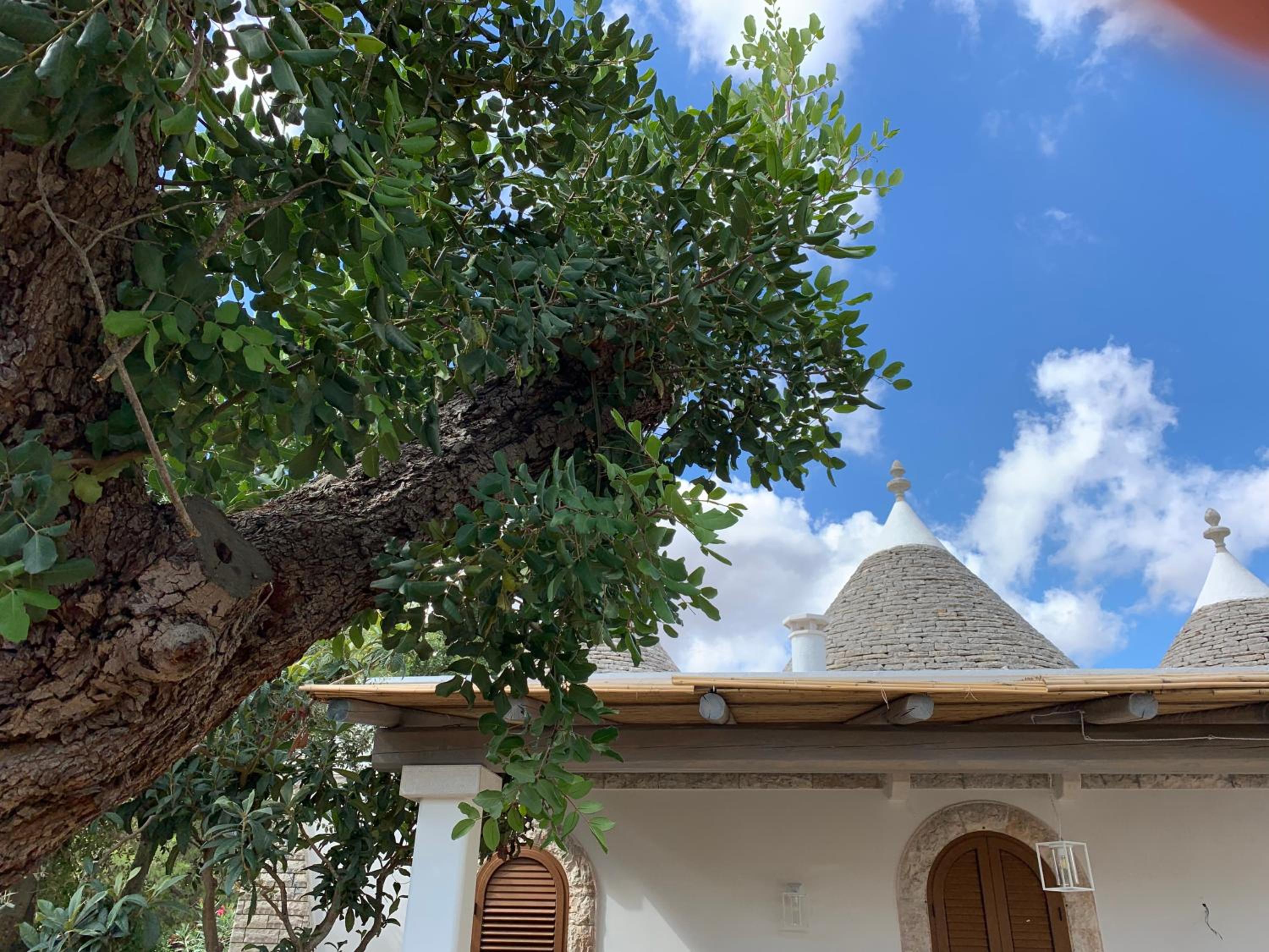 Trullo Labellavita view 3
