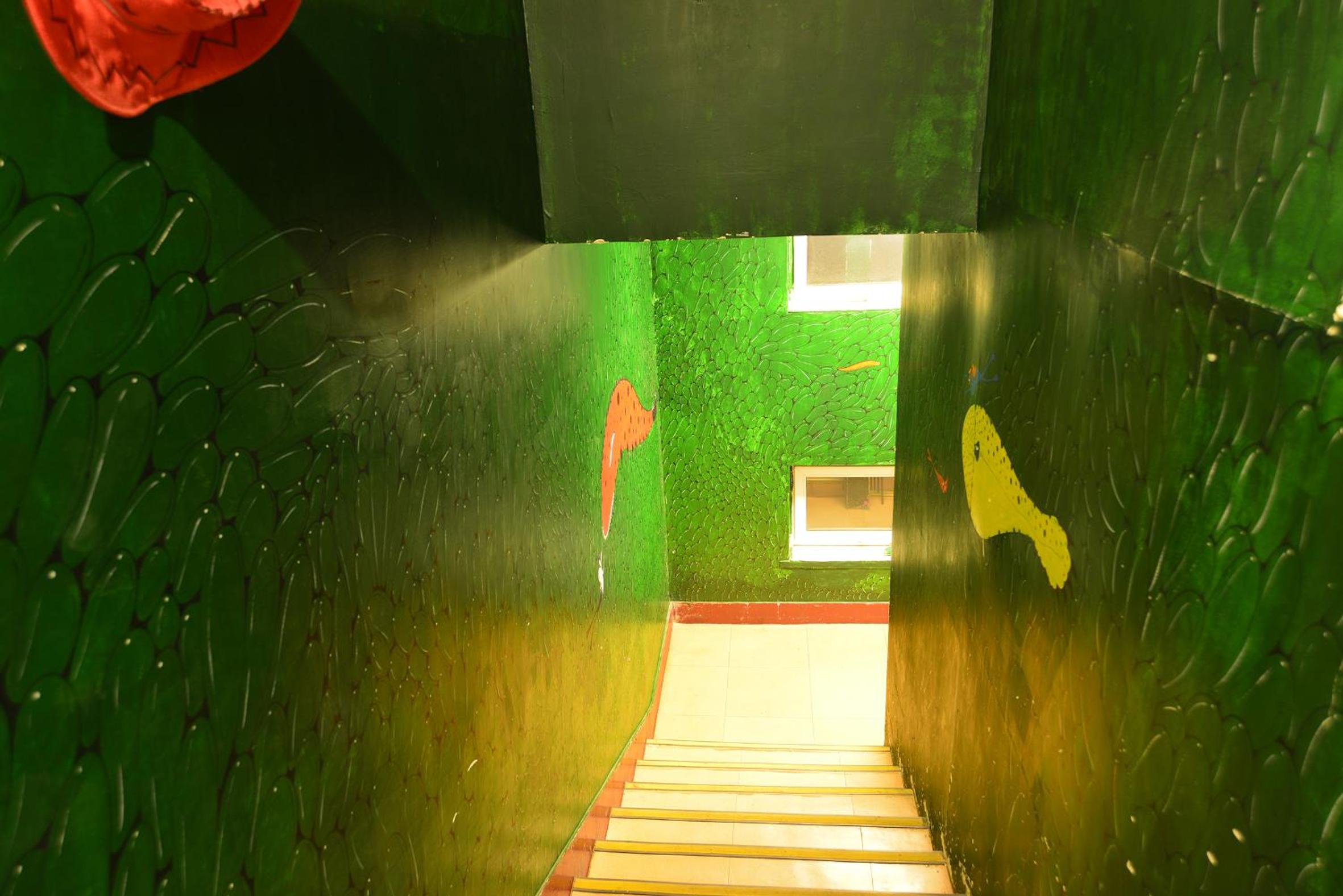 Photo 52