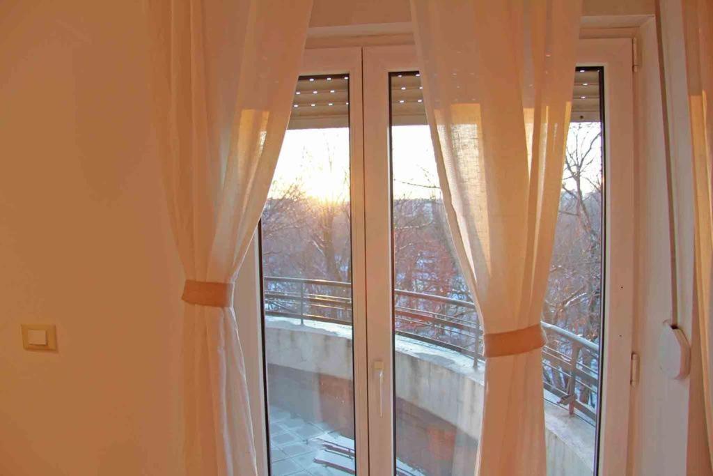 Photo 51
