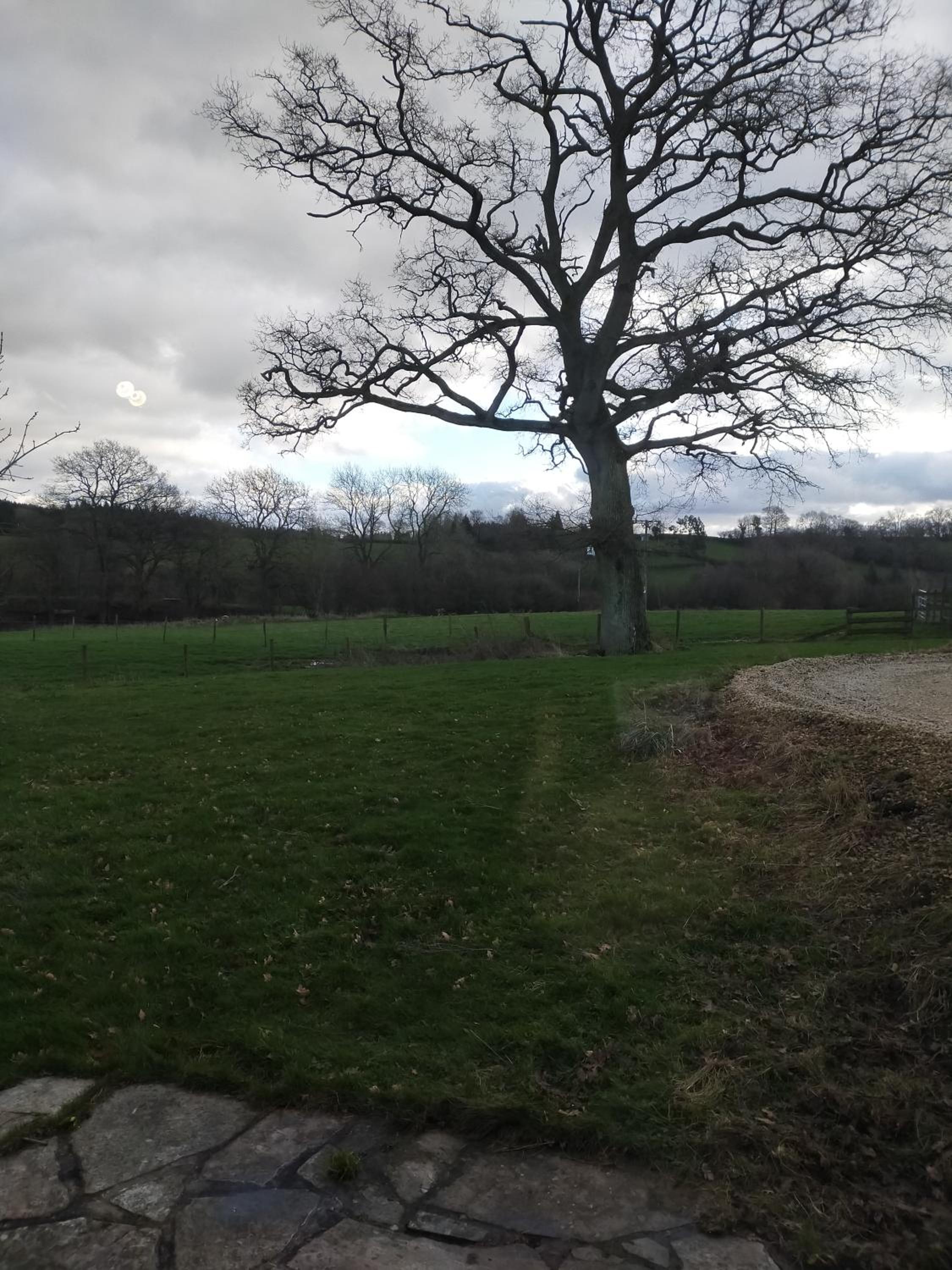 Coed Canol Farm view 4