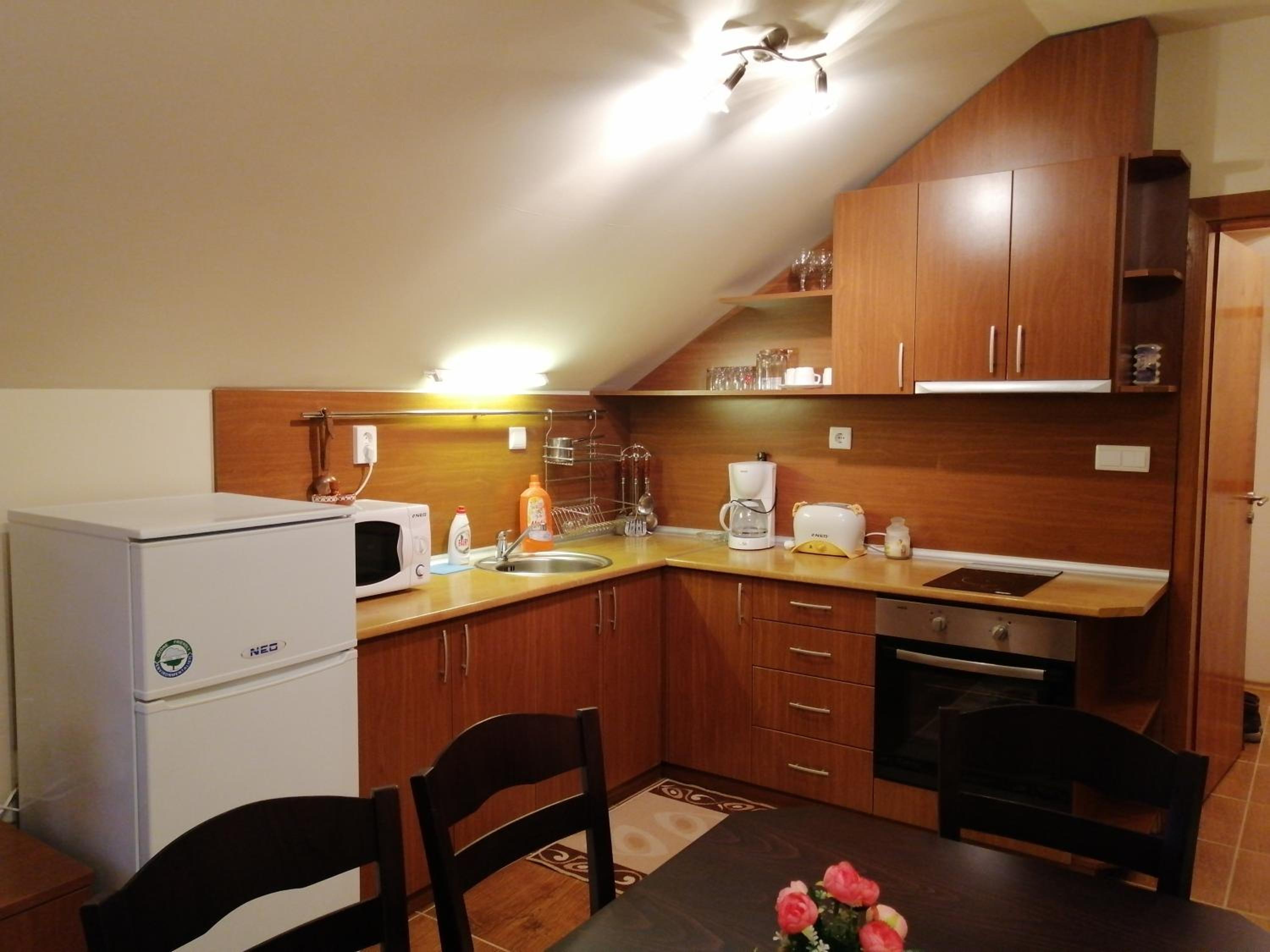 Studio at Home Pamporovo view 4