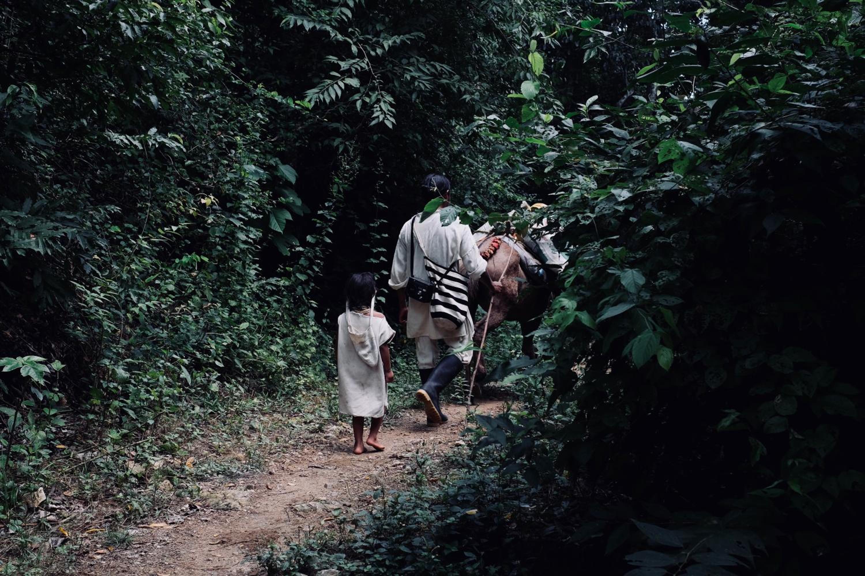 Sexto Sentido Cabanas  Pan Frances - Property Image 12