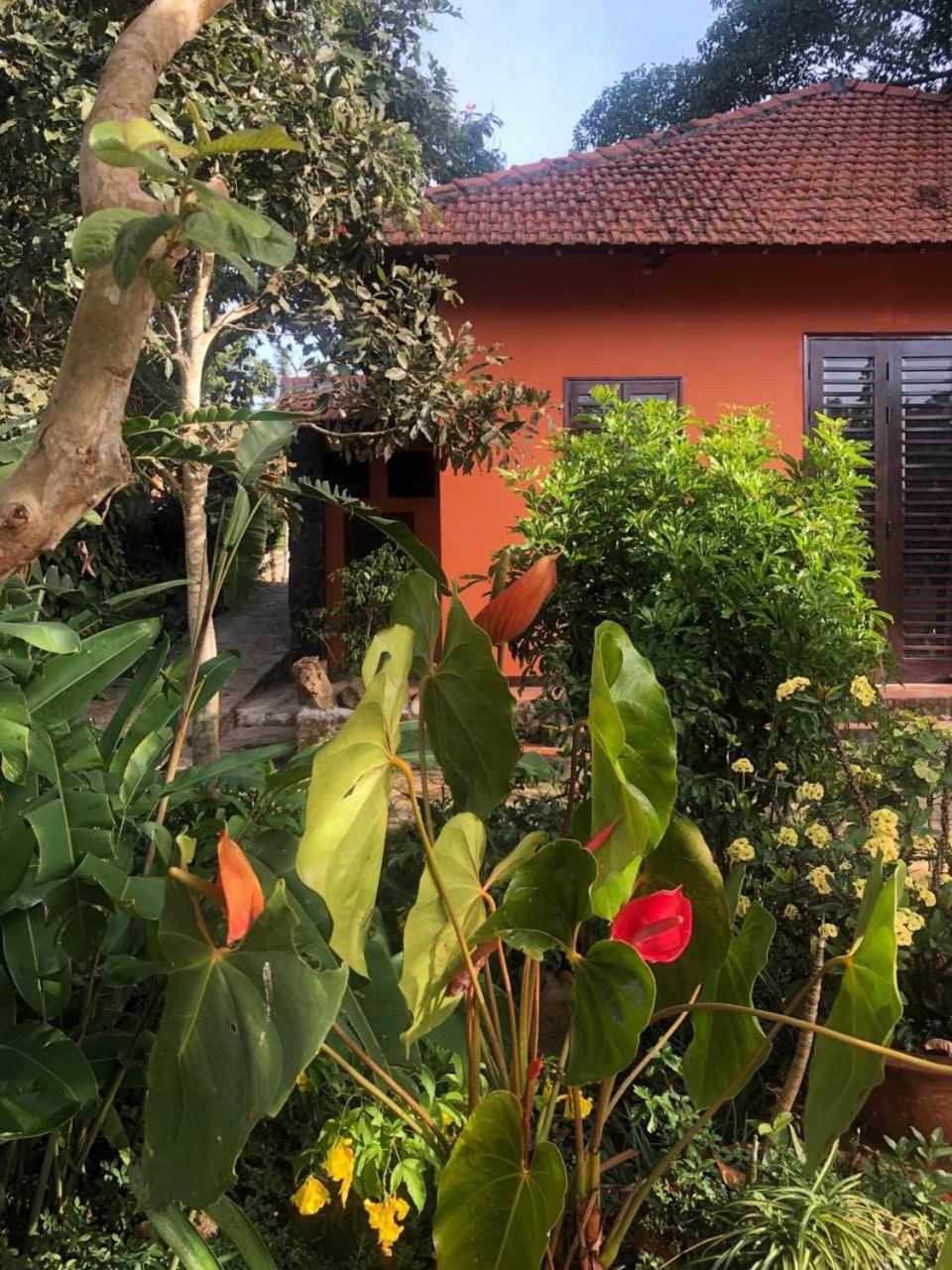 Ivory Falls Villa