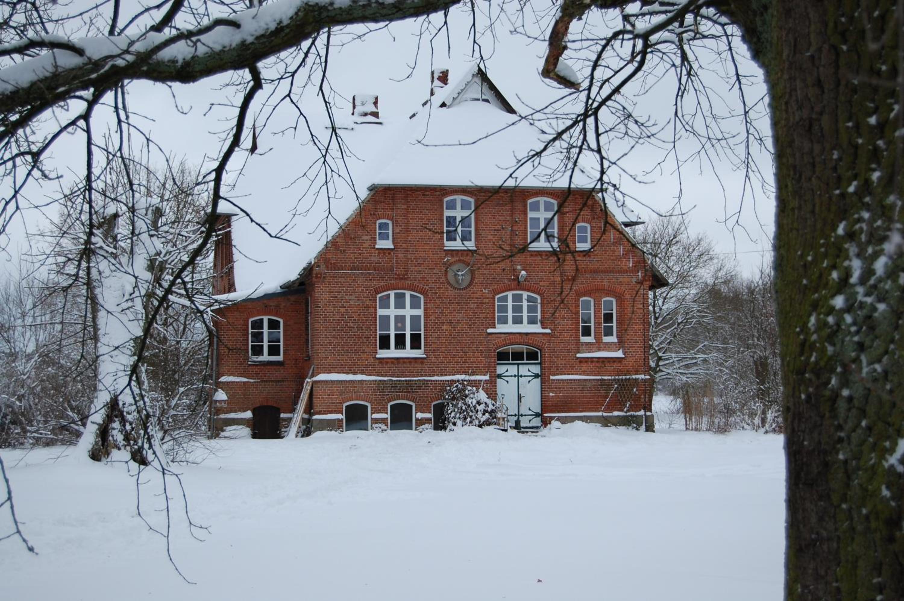 Photo 9