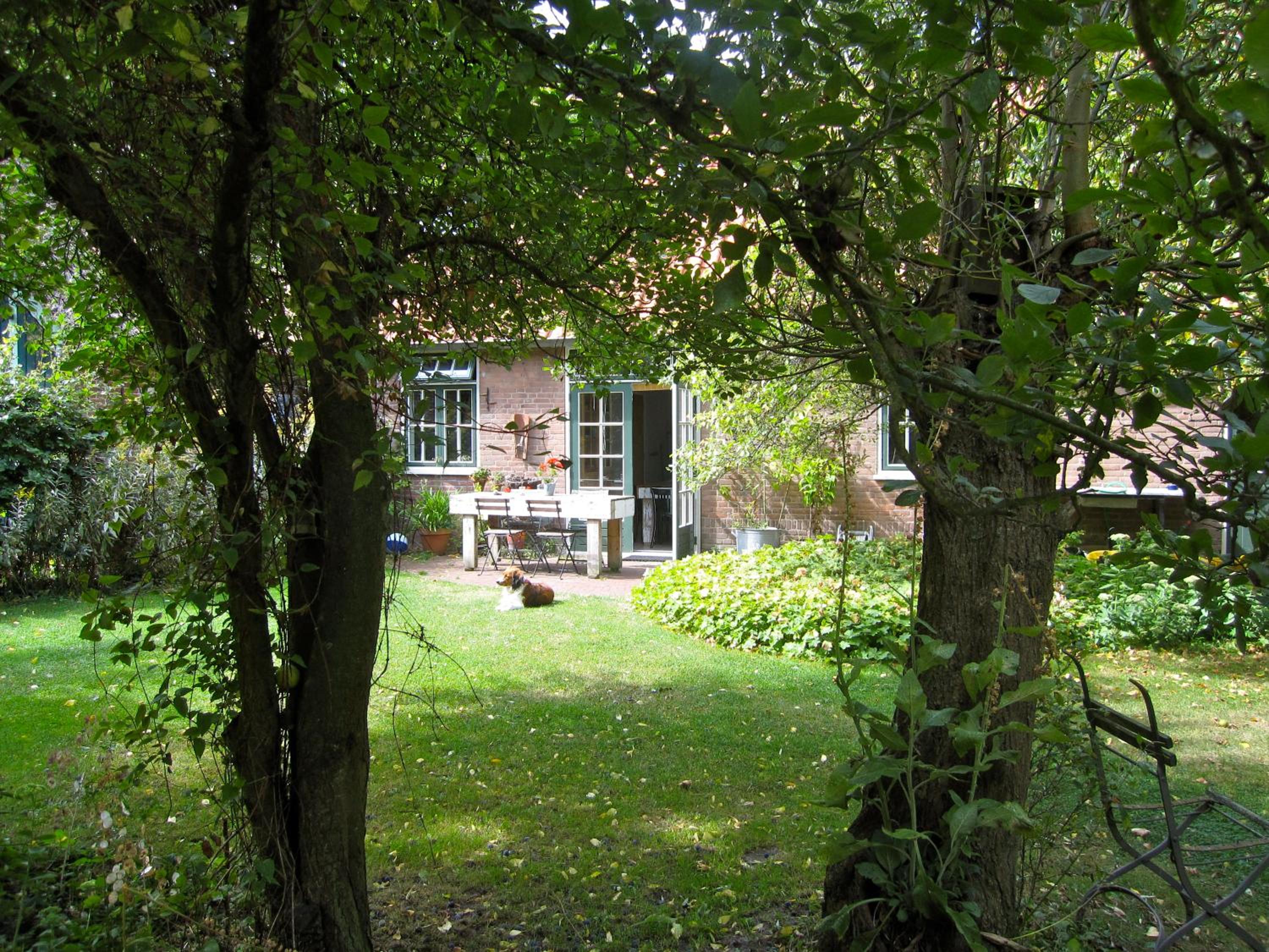 Photo 10