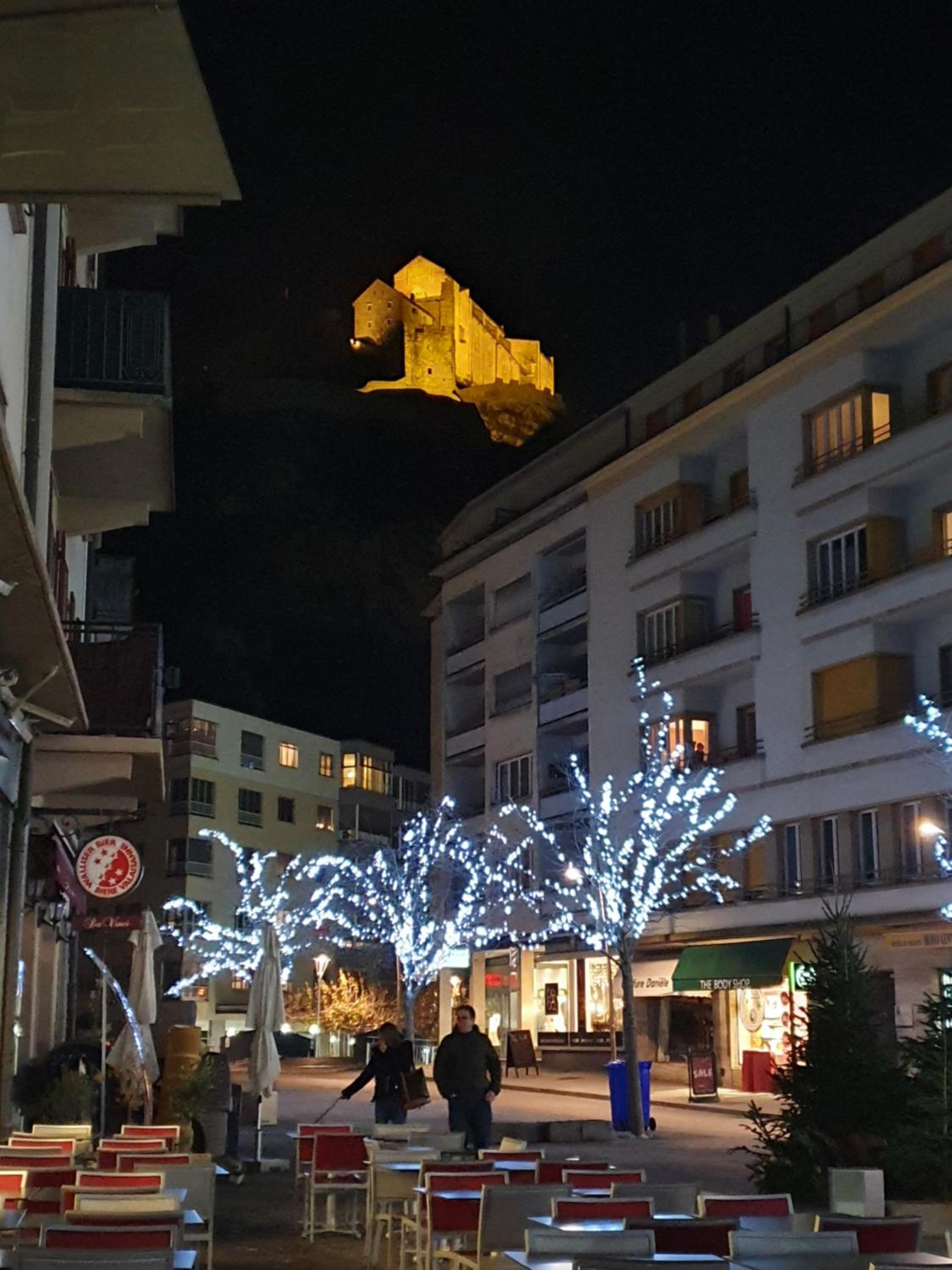 Le Merle Châtelain