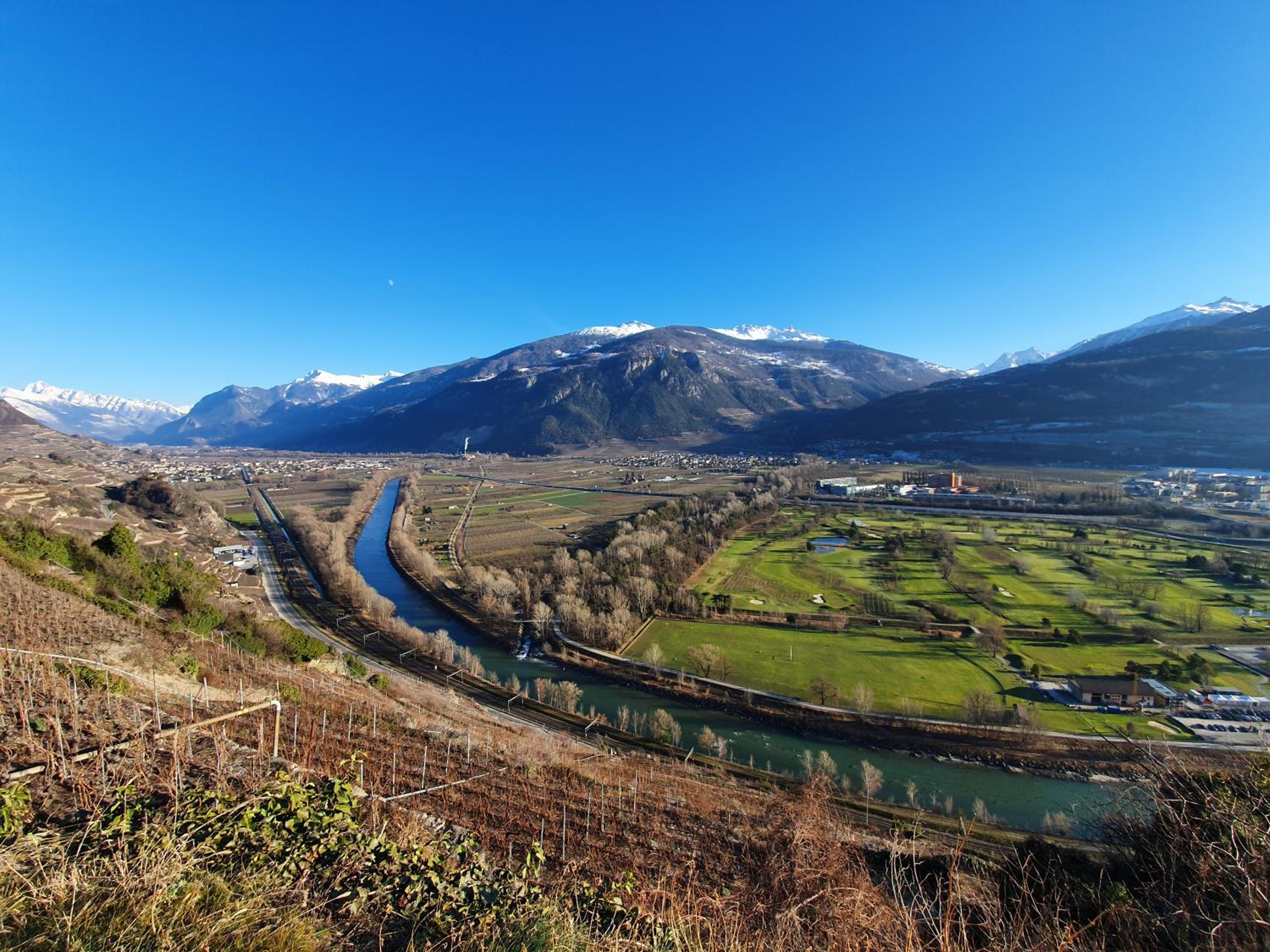 Le Merle Châtelain