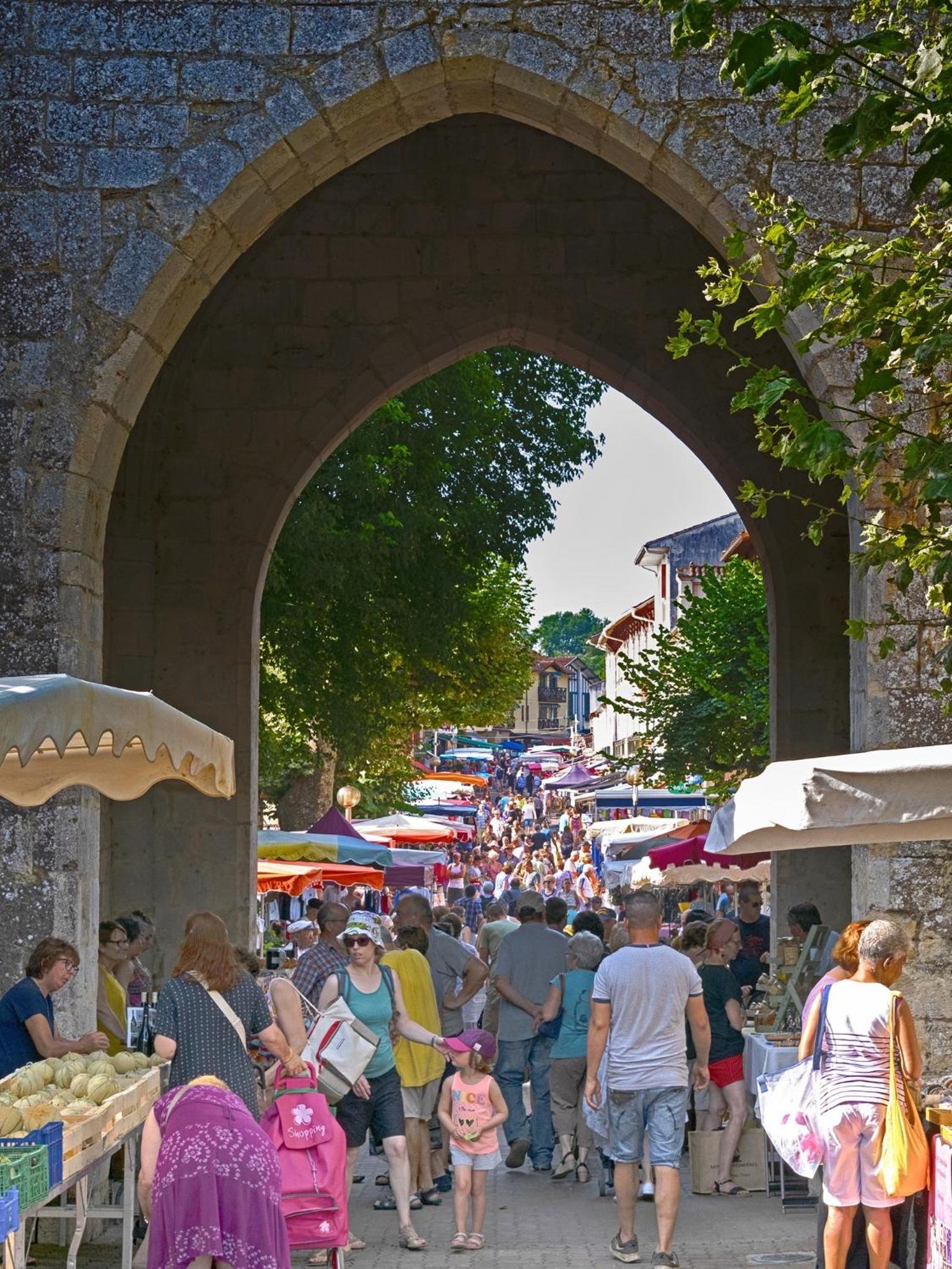 Photo 20