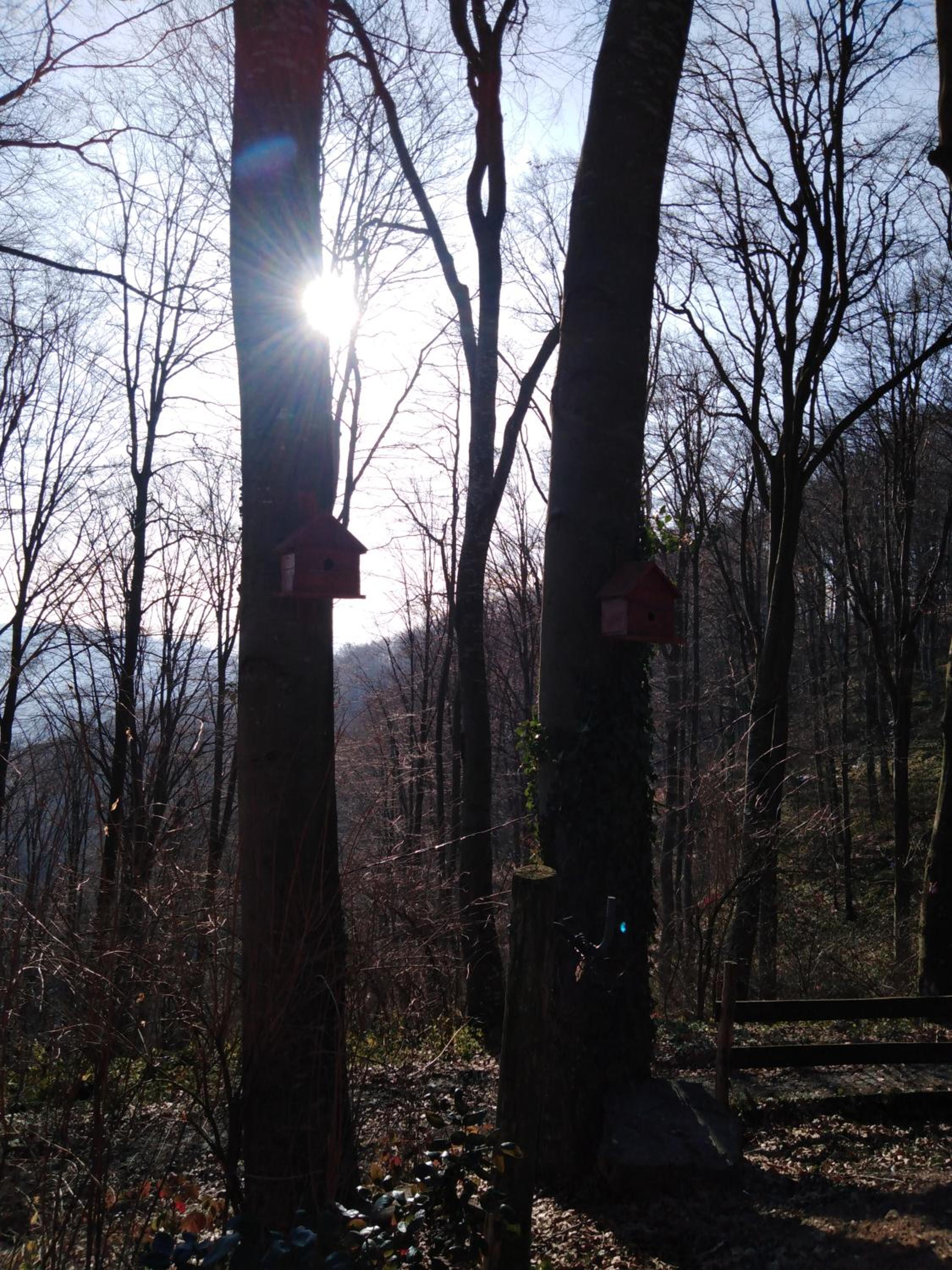 Photo 40