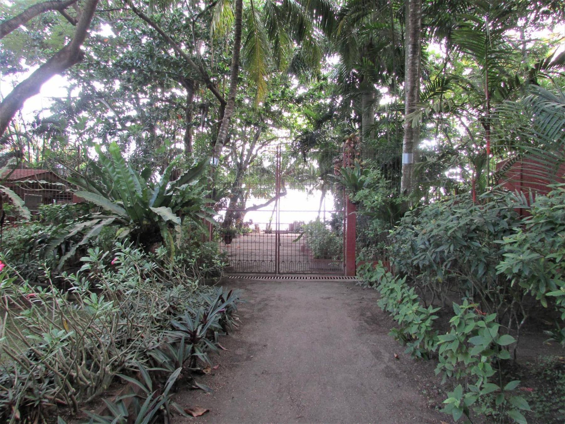 Photo 7