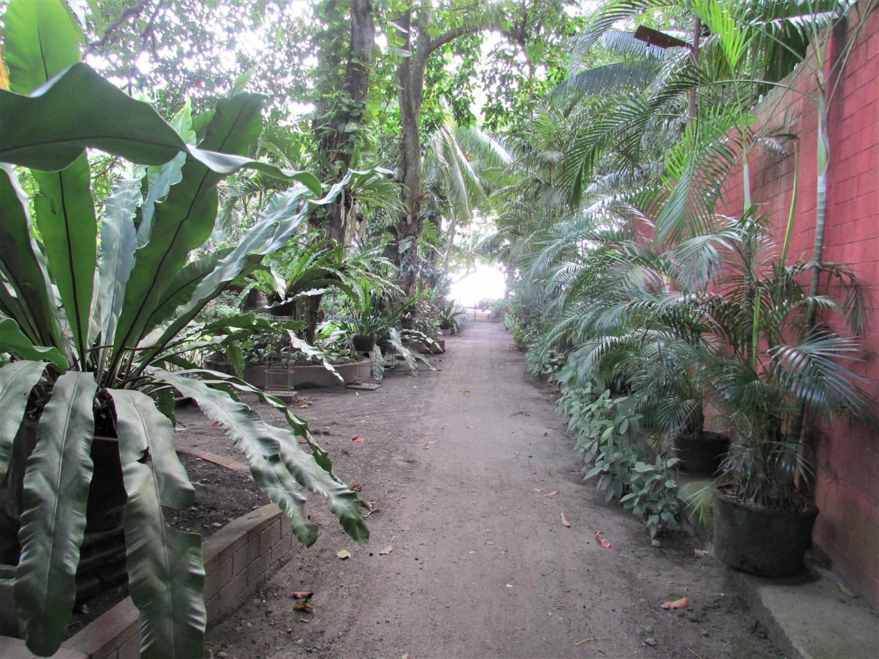 Photo 27