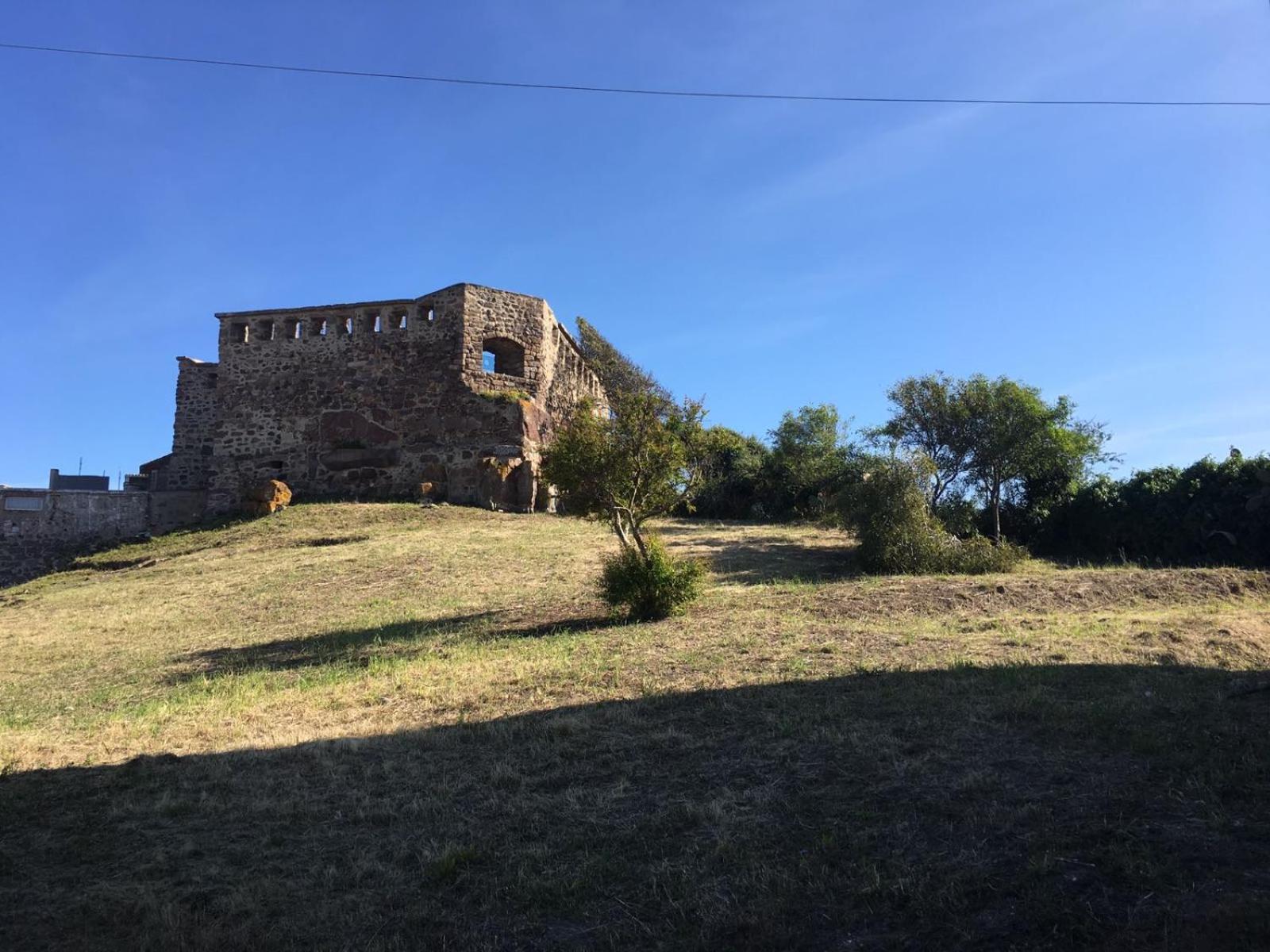 Photo 19