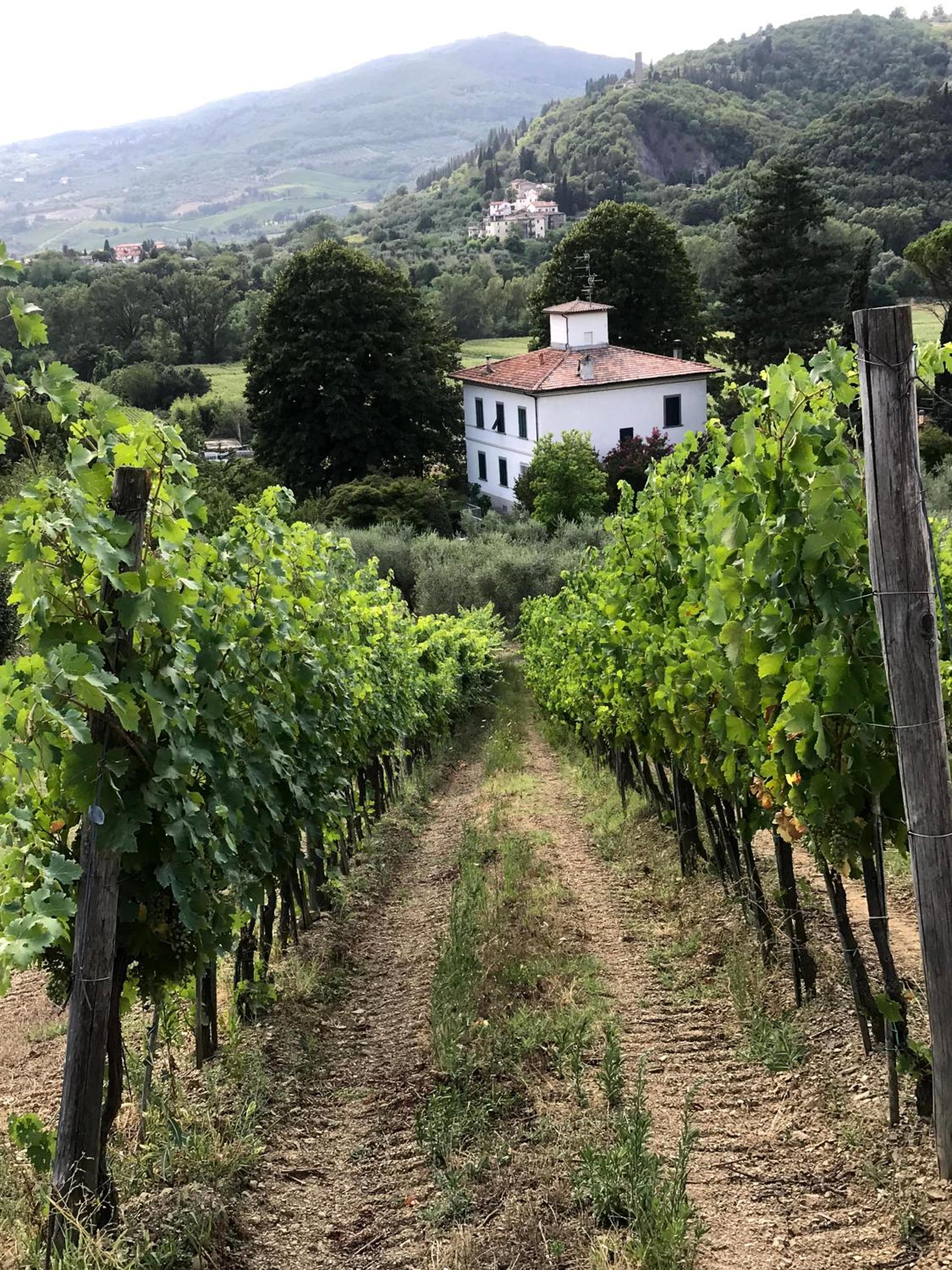Il Pezzatino view 4