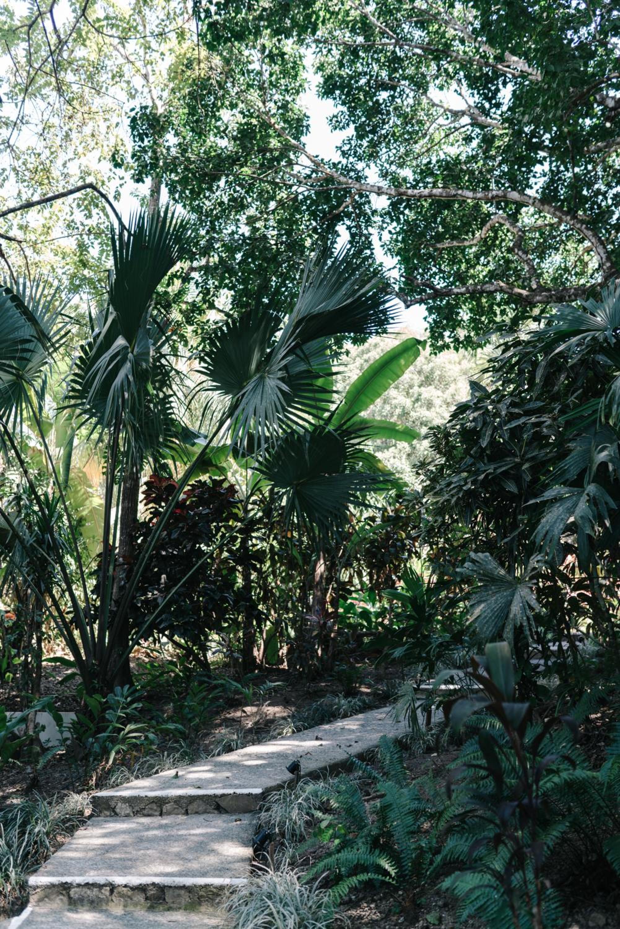 Star Mountain Jungle Lodge - Only 4x4 Vehicles, No Meals