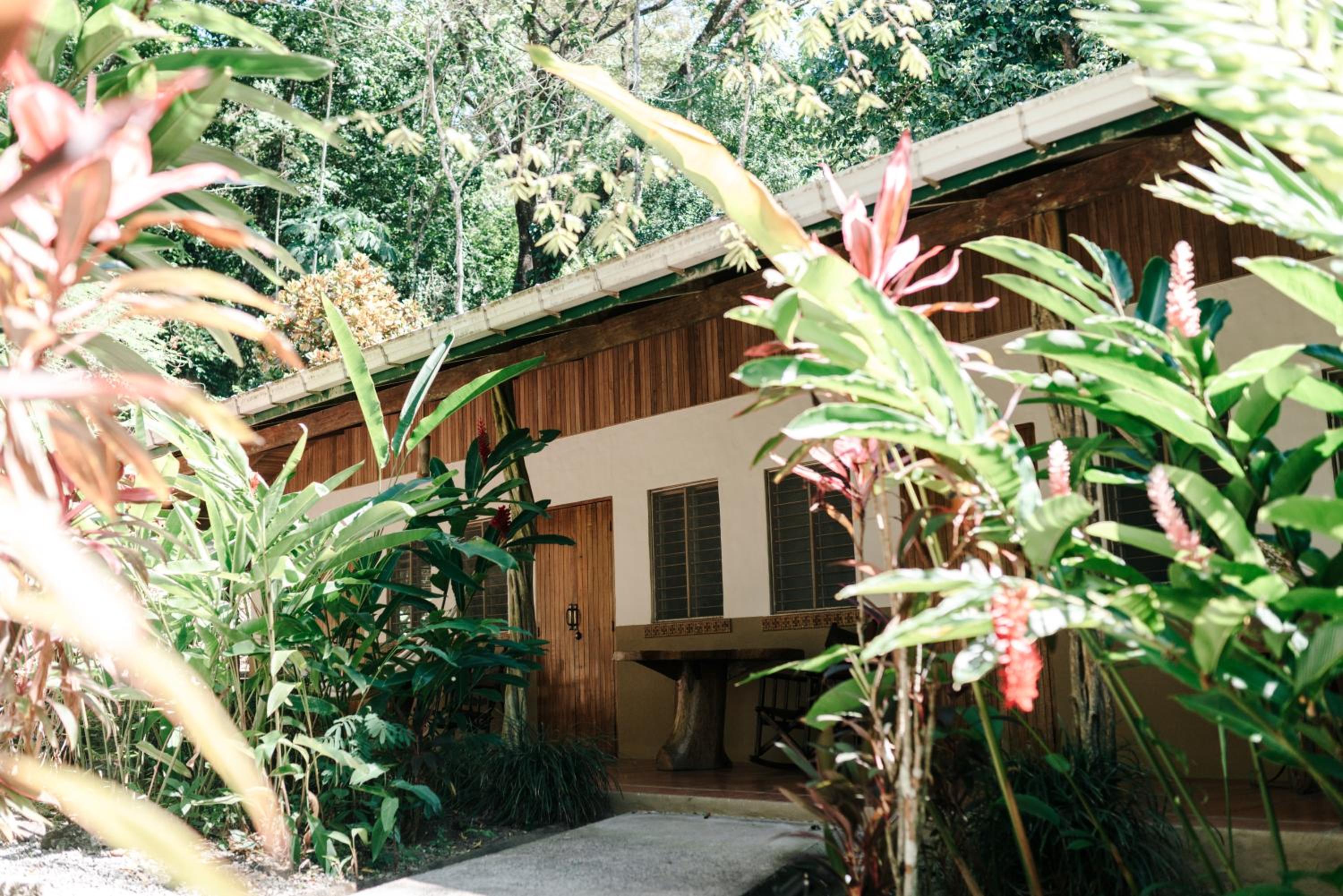 Star Mountain Jungle Lodge - Only 4x4 Vehicles, No Meals