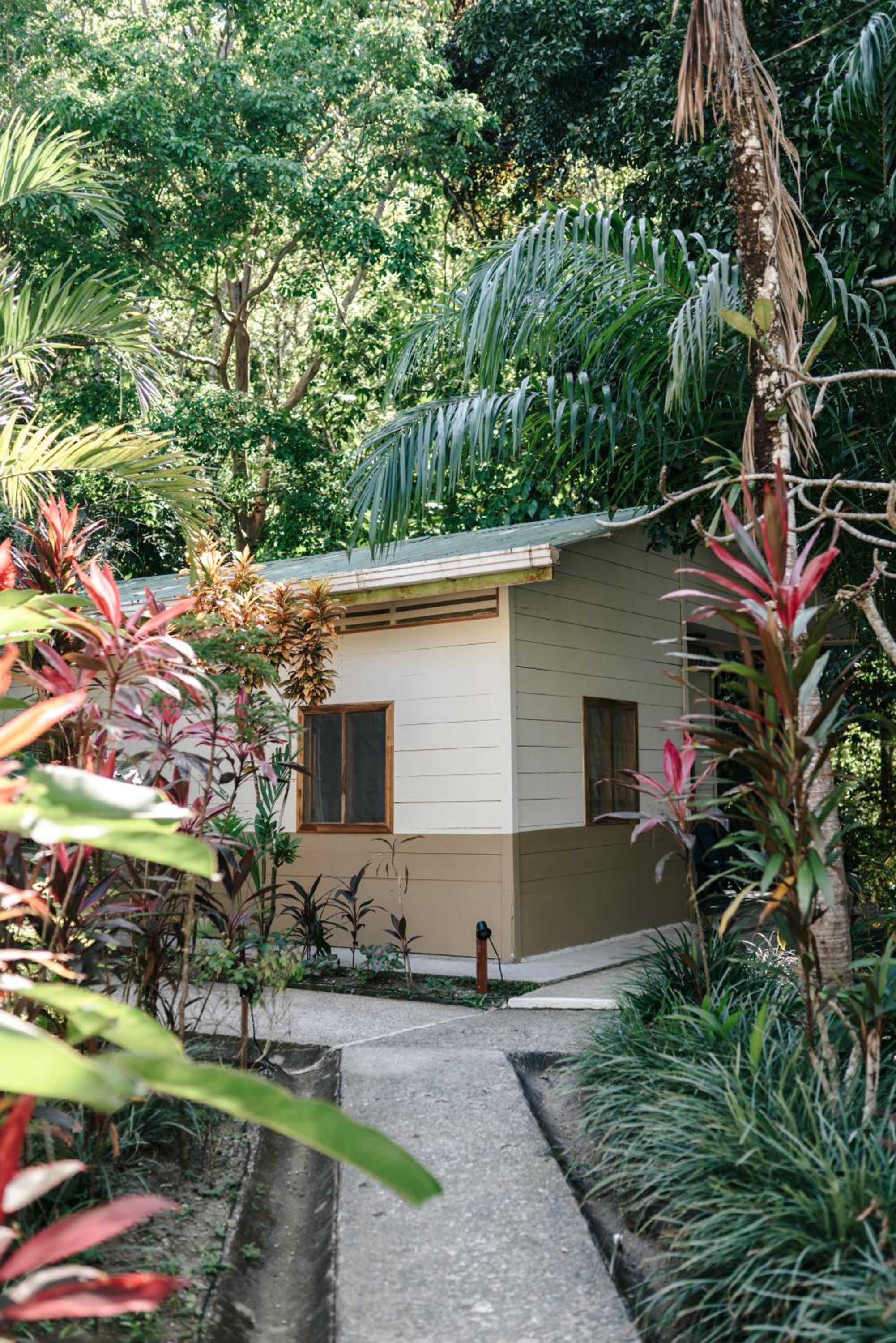 Star Mountain Jungle Lodge - Only 4x4 Vehicles, No Meals